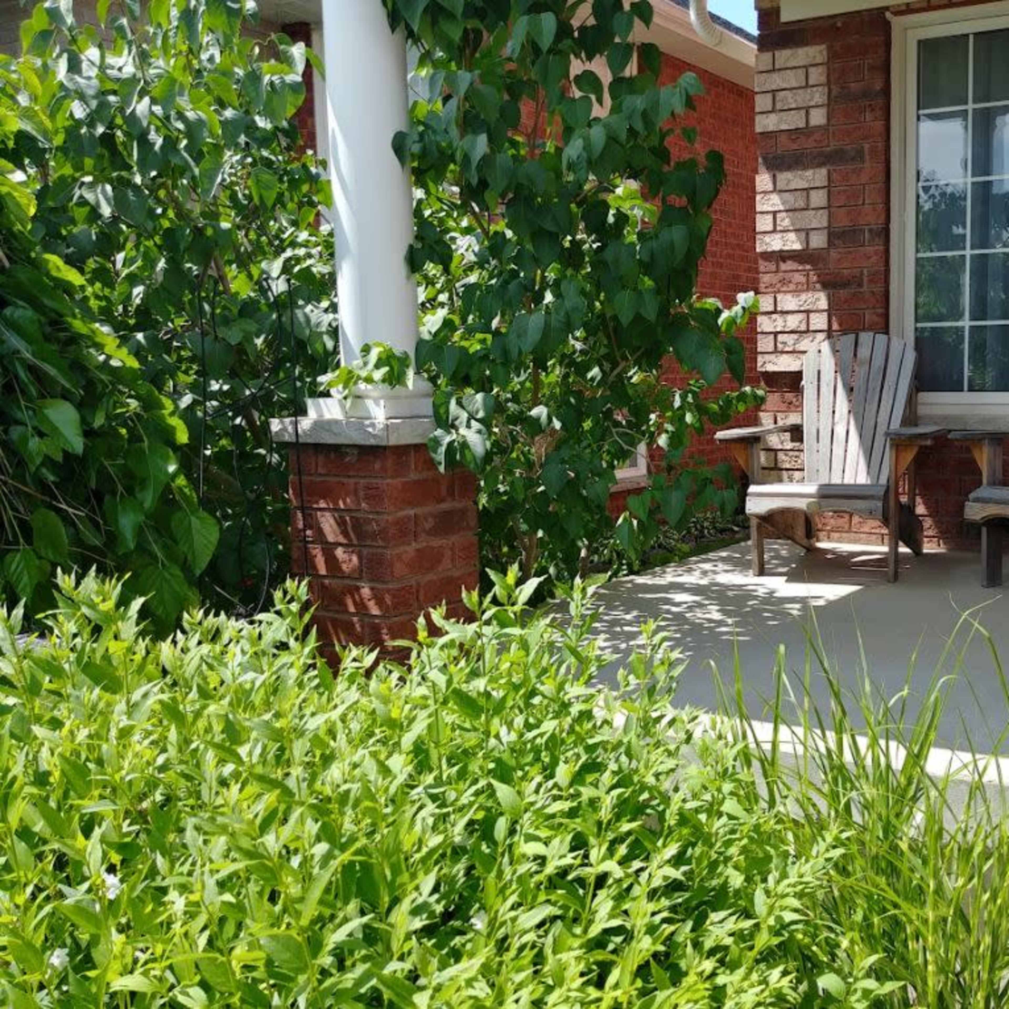 A porch area with two wooden chairs beside a green shrubbery and brick columns.