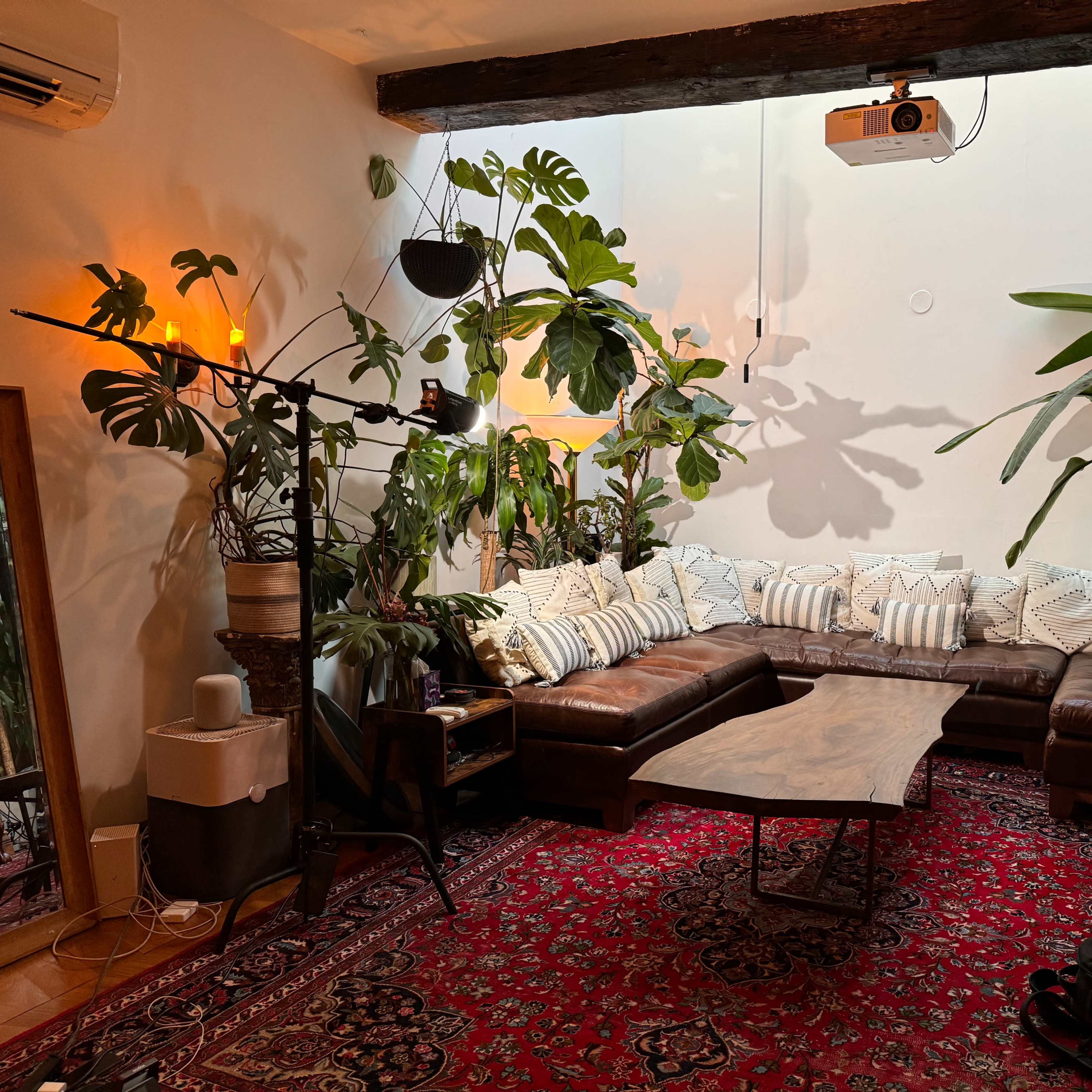 A brown sectional couch with striped pillows is arranged around a wooden coffee table in a room filled with large potted plants and decorated with a vibrant area rug.