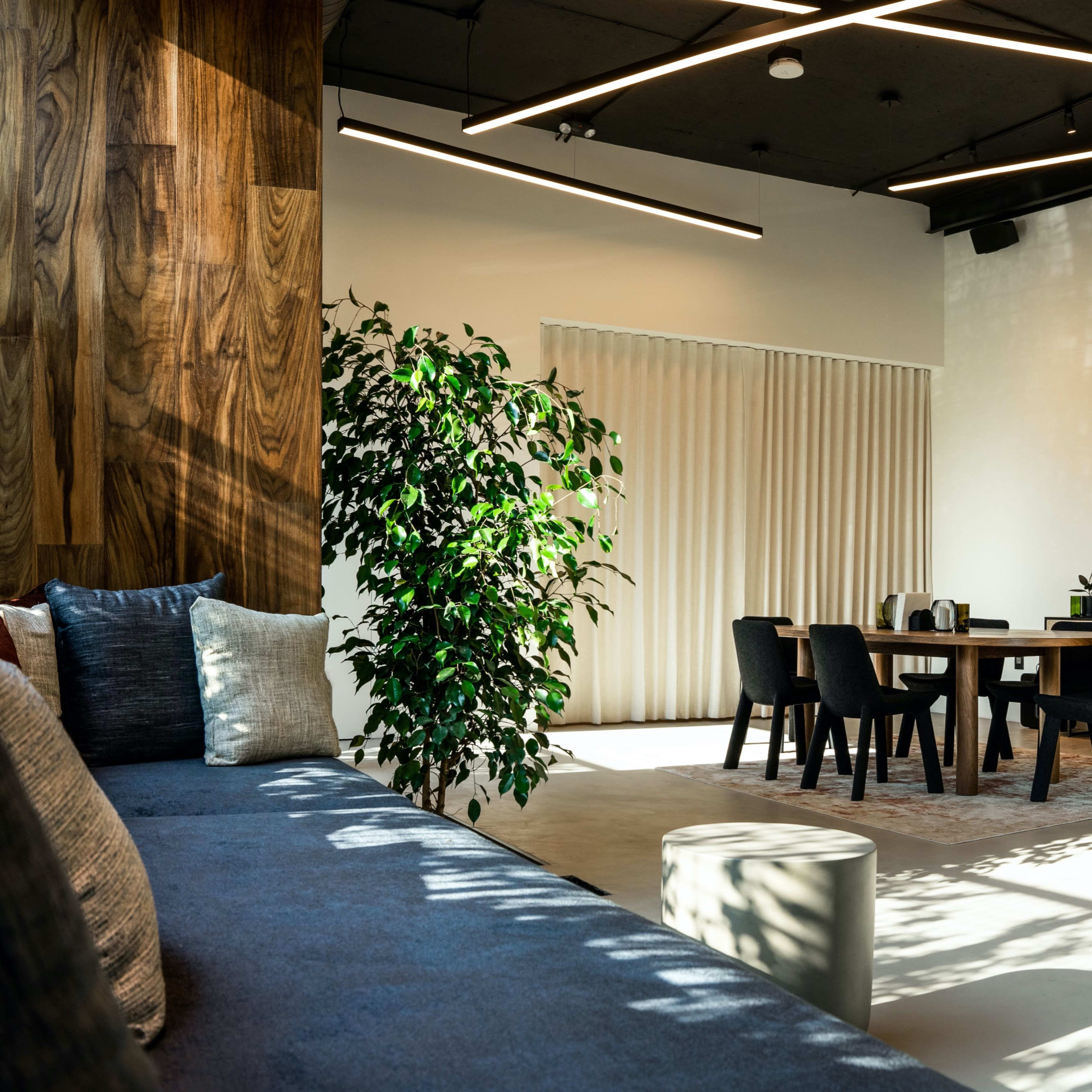 The scene depicts a modern interior space featuring a cozy seating area with cushions, a dining area with black chairs, and a large potted plant beside a window with sheer curtains.