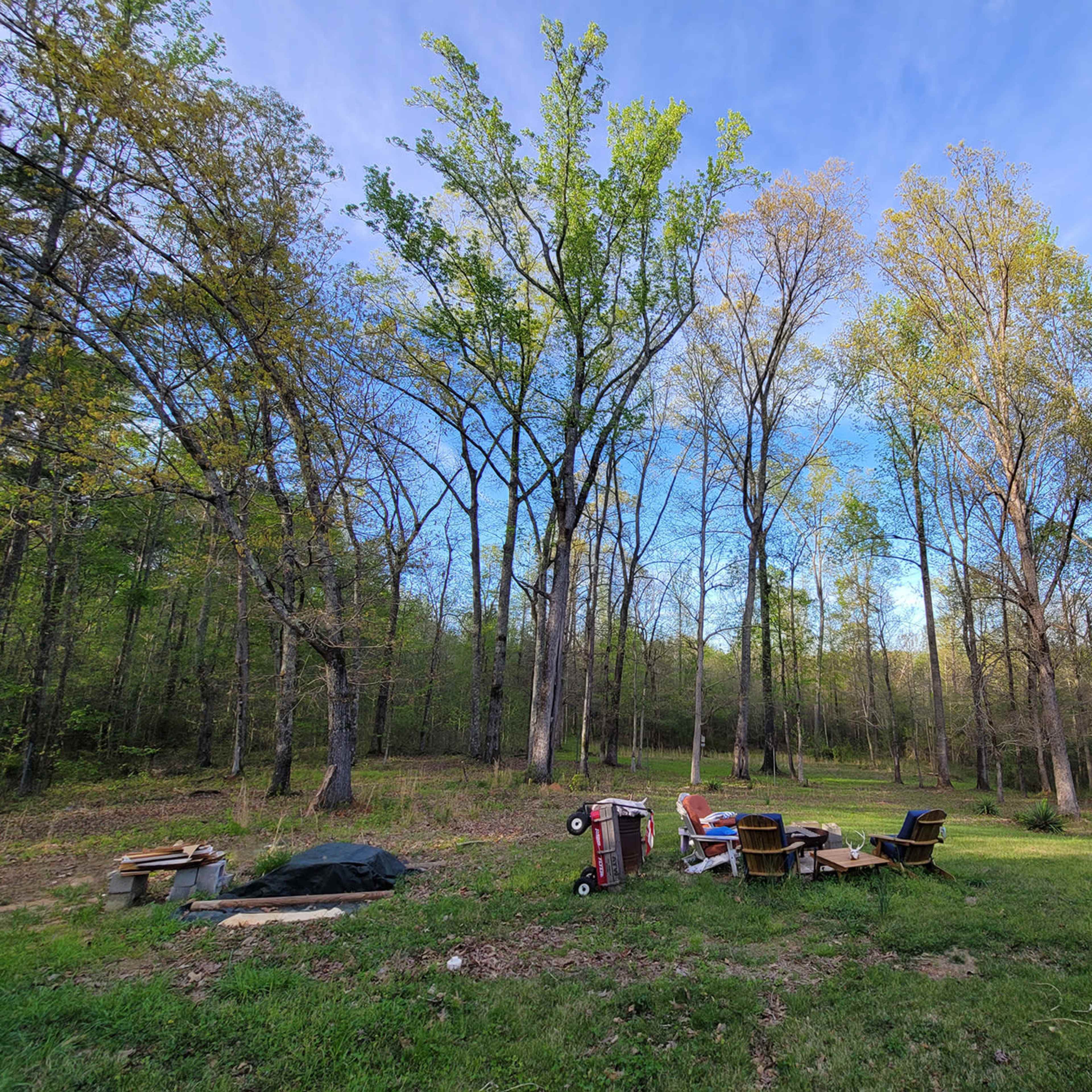 A person is seated near a small fire pit surrounded by chairs in a wooded area with tall trees and clear blue sky.