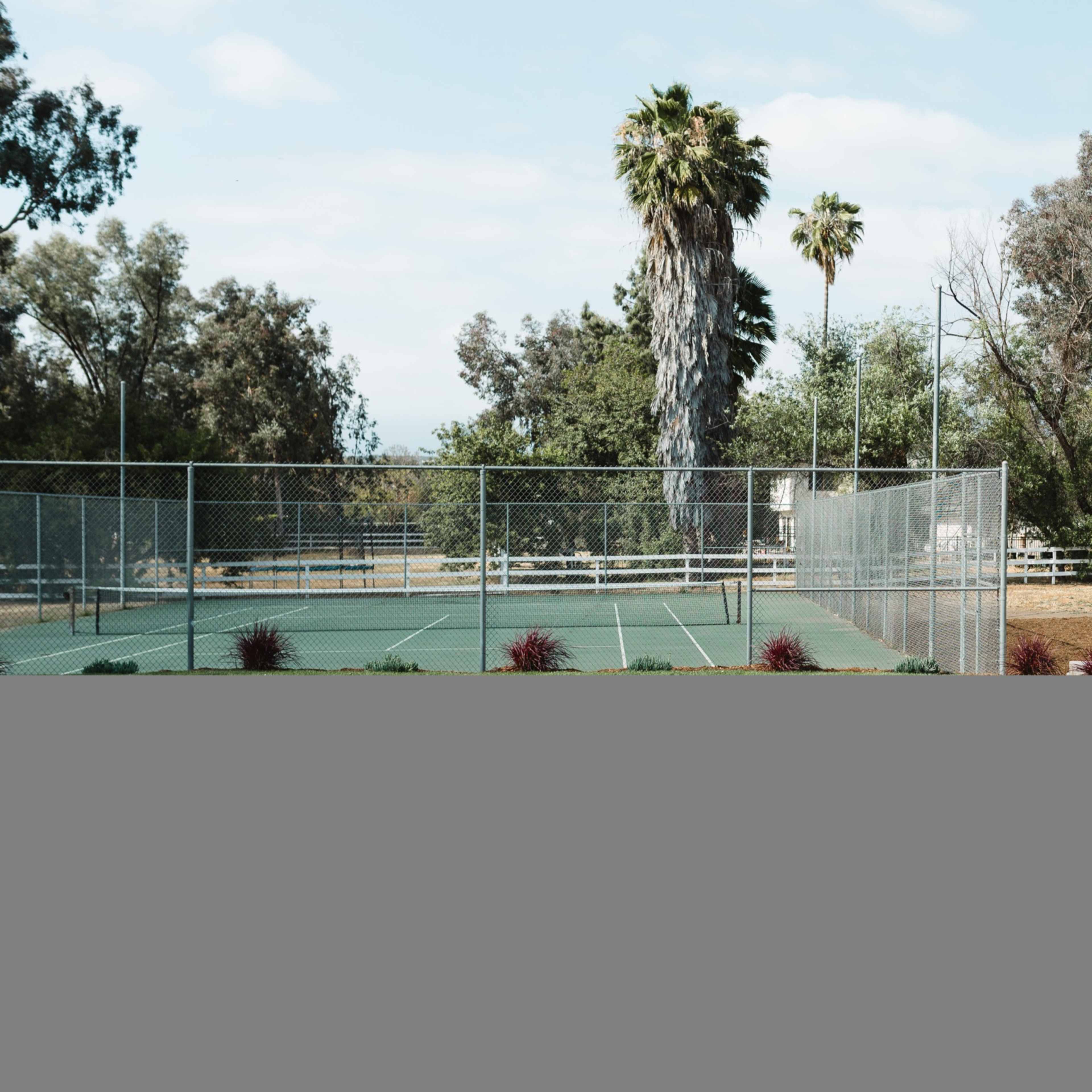 A vacant tennis court with surrounding palm trees and a building in the background.