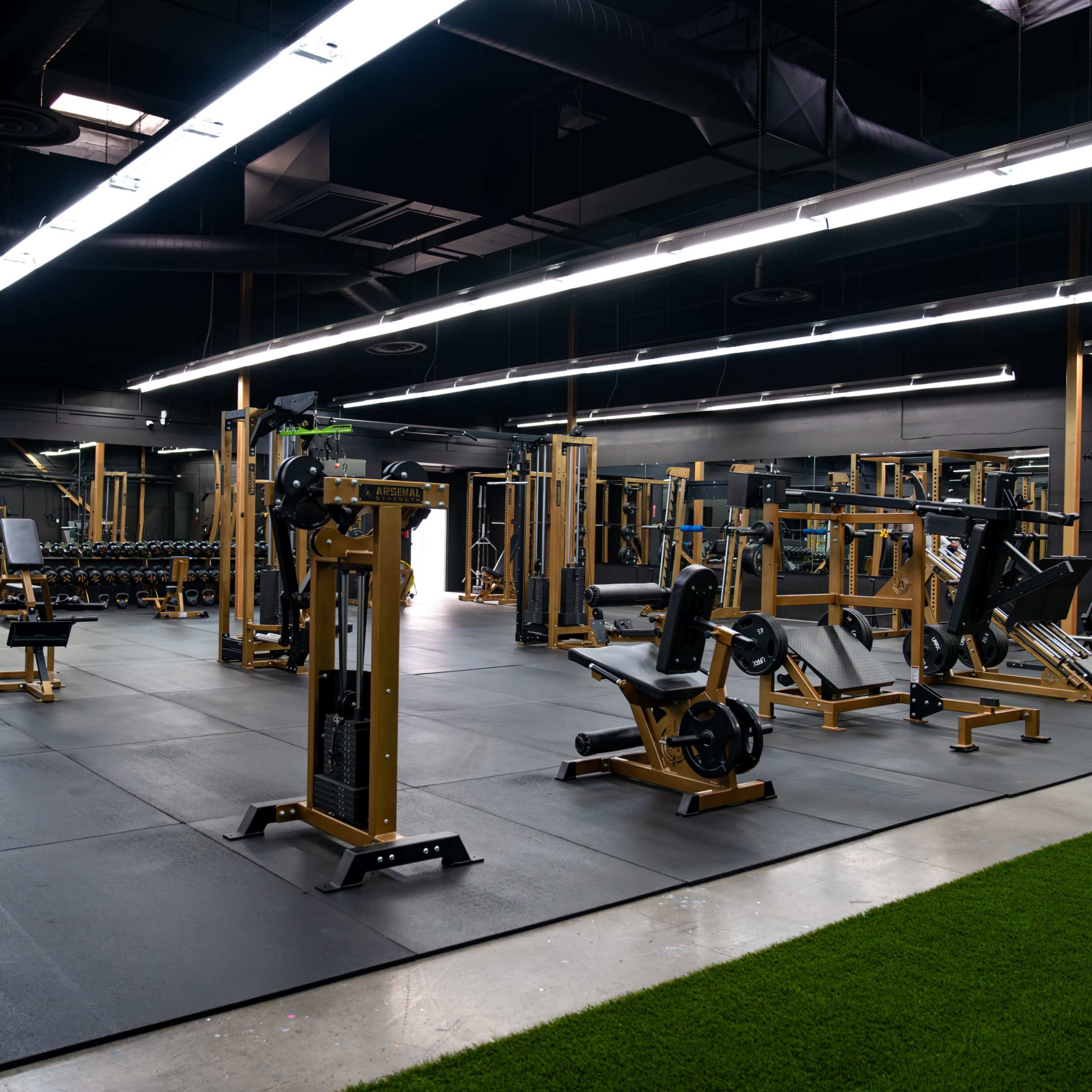Downtown Private Training Facility with Brand New & Unique Gold Equipment Image in Burbank, Burbank, CA