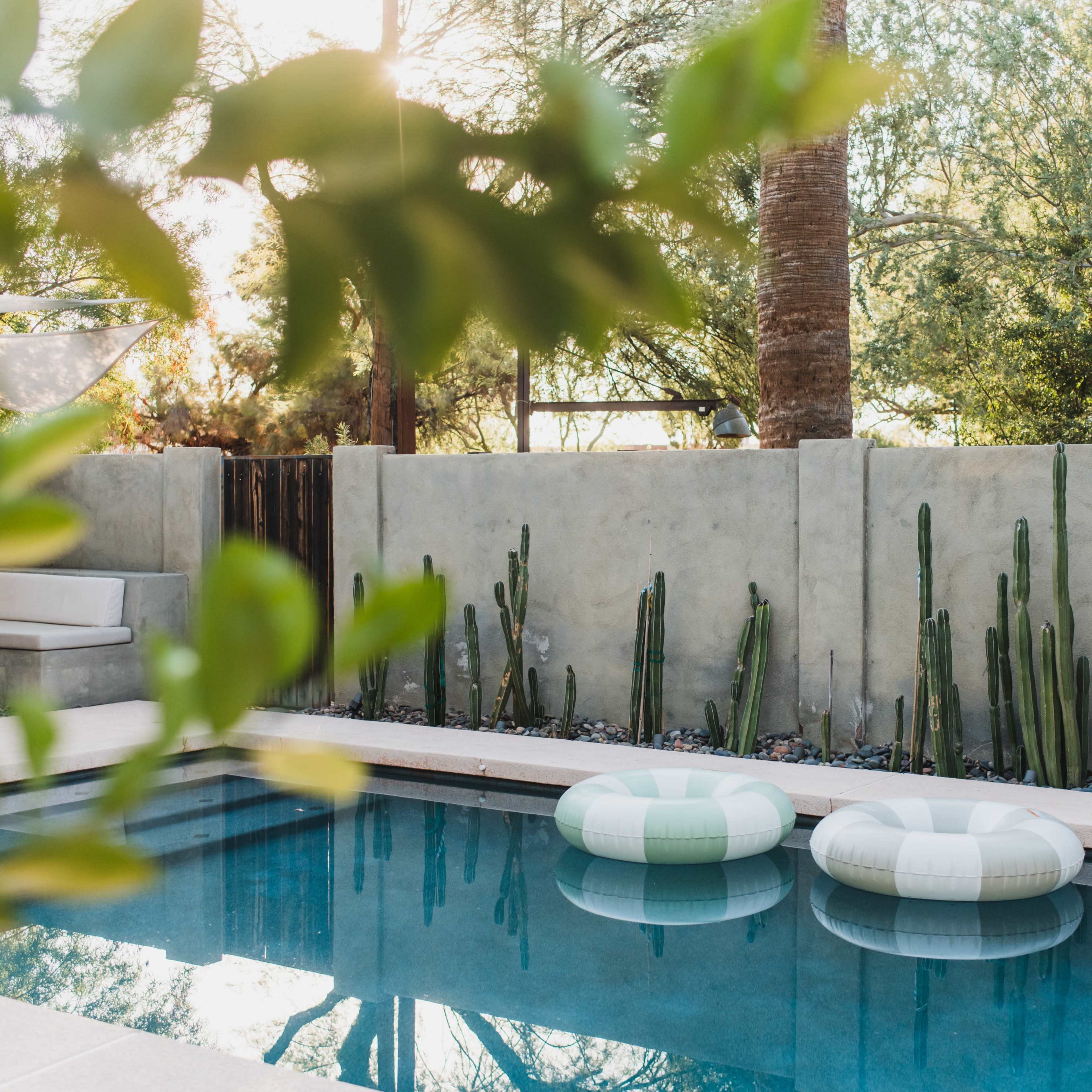 Garden Sanctuary Image in Camelback East Village, Phoenix, AZ