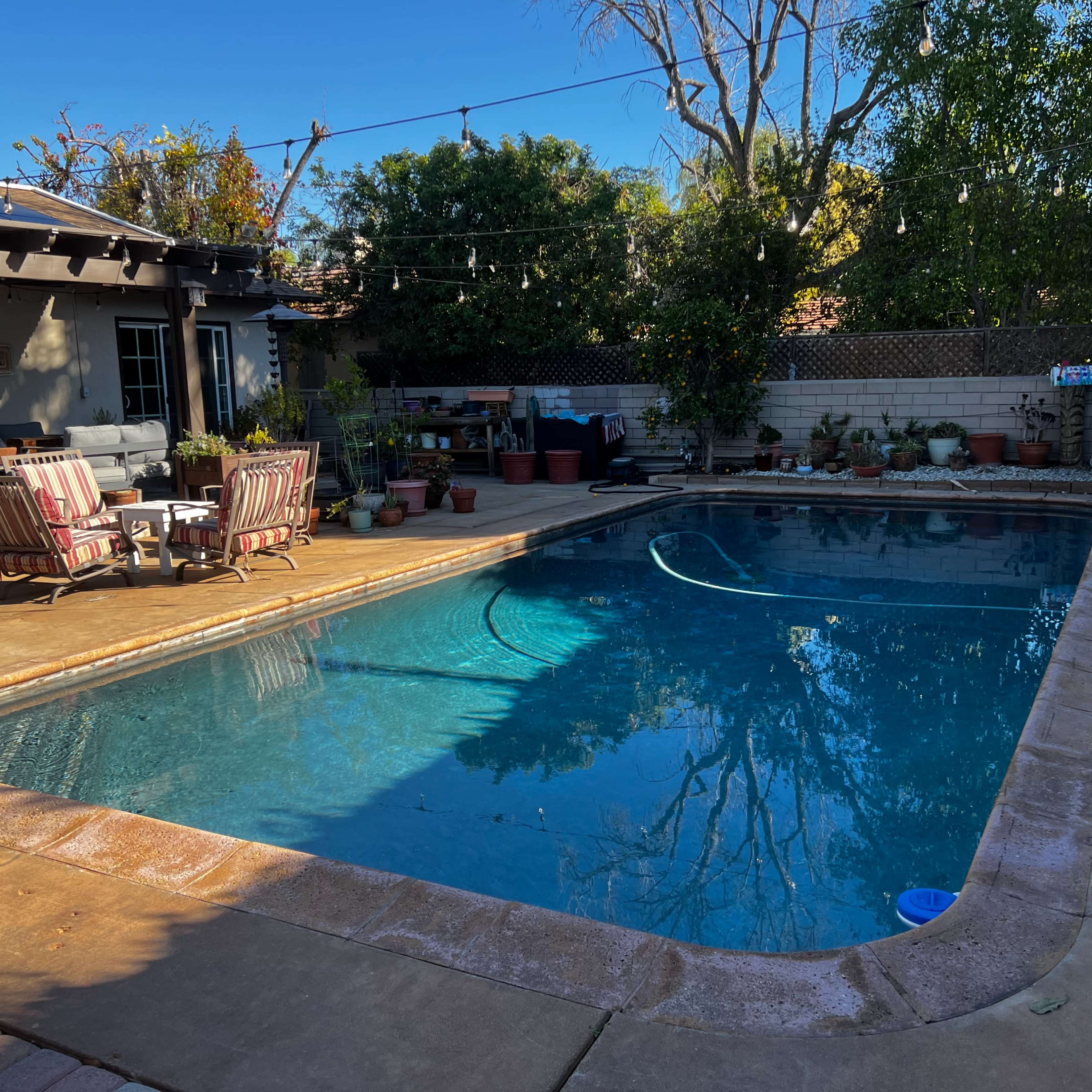 A residential backyard features a swimming pool surrounded by potted plants and patio furniture.