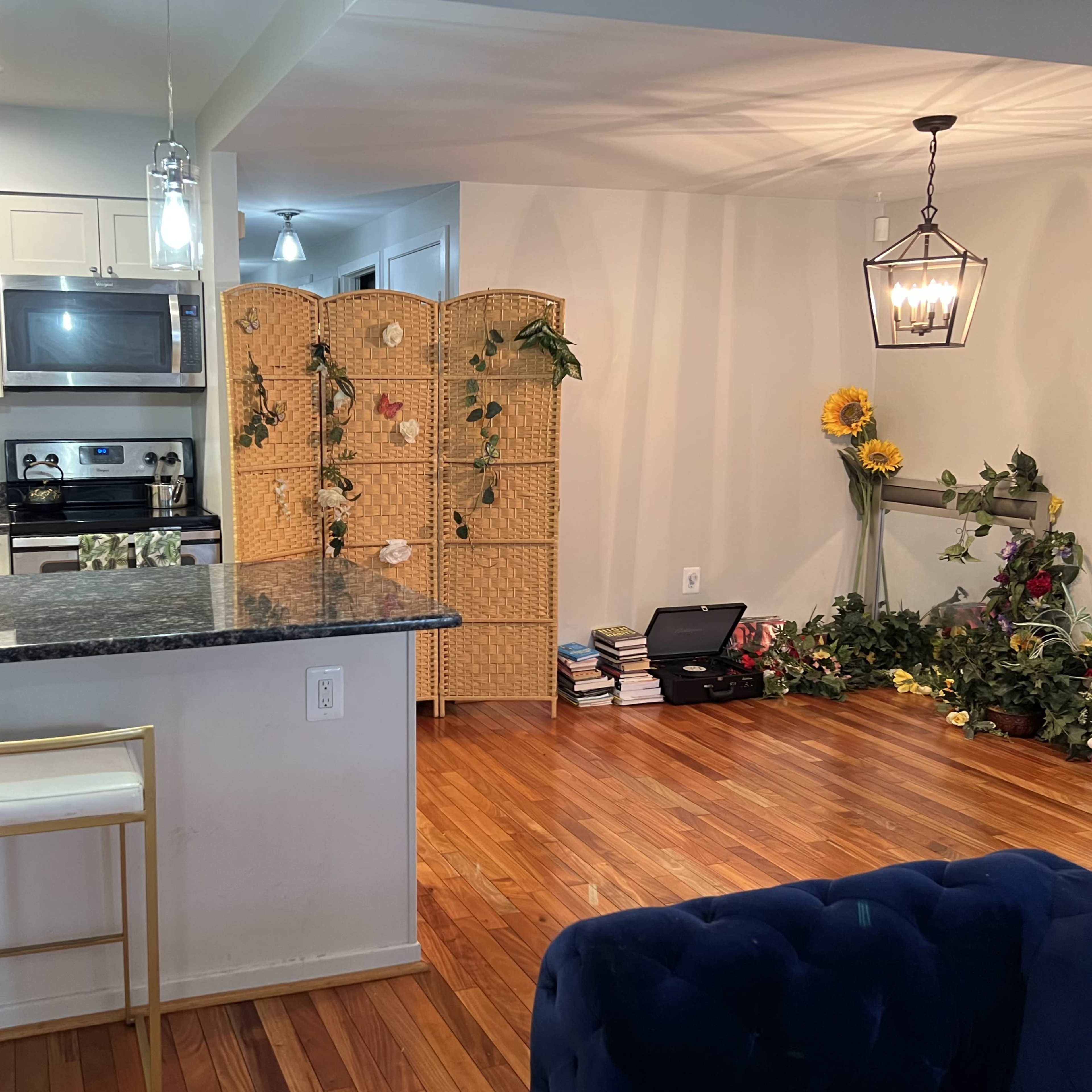 A modern kitchen with a marble-topped island and a living area featuring a folding privacy screen, books stacked on the floor, and decorative plants.