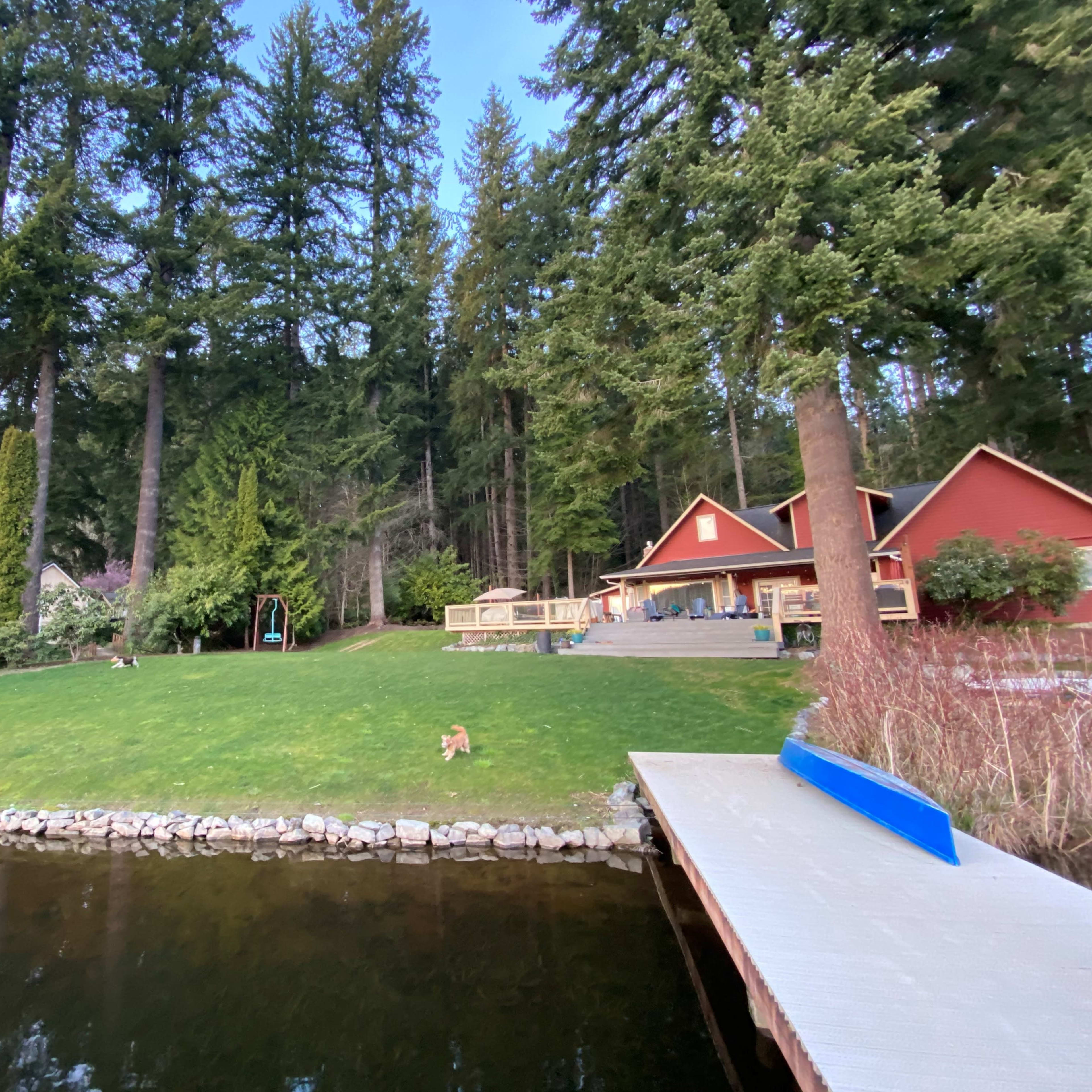 A grassy area slopes down to a calm lake, bordered by a forest of tall trees and featuring a red house with a deck and a dock.