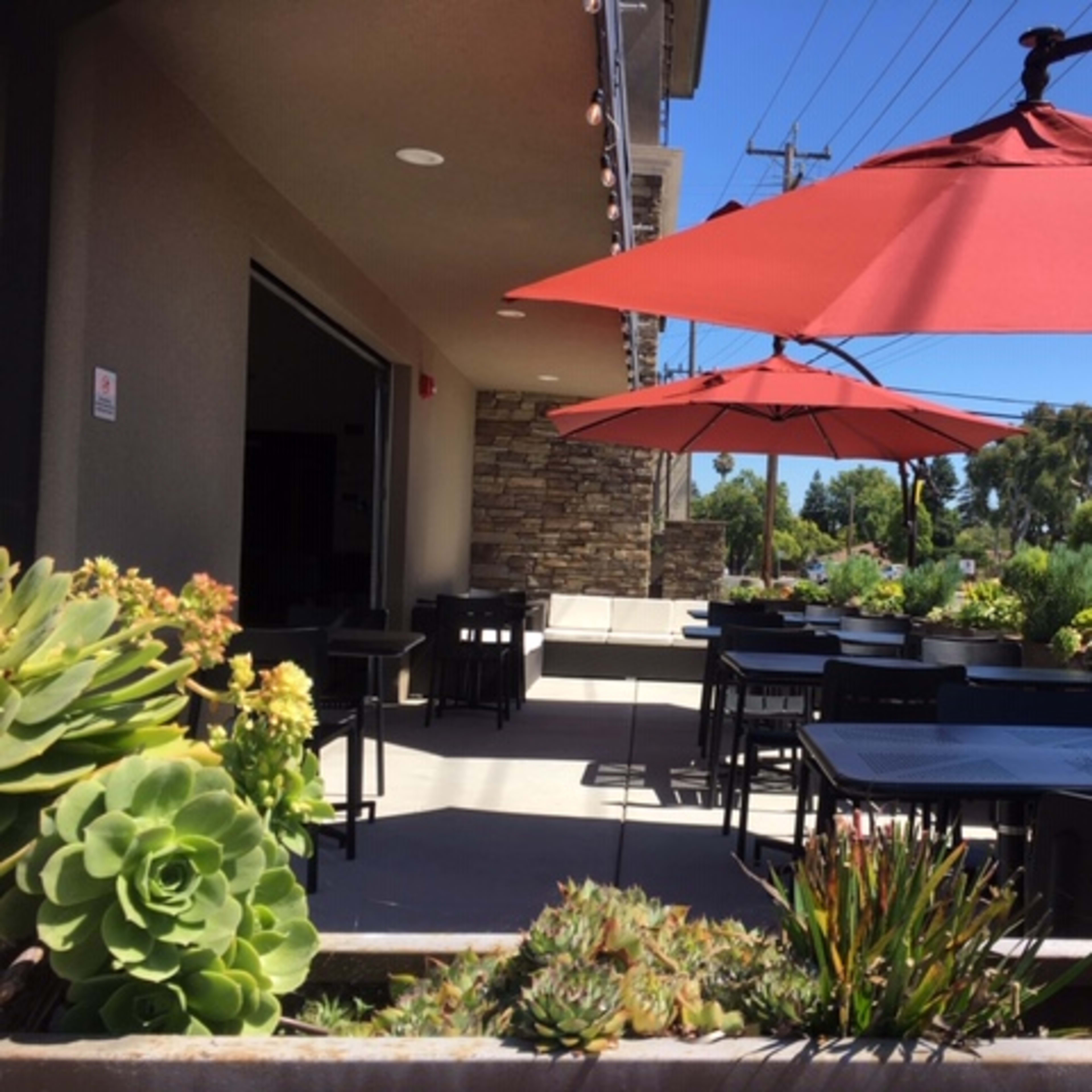 A patio area features black tables and chairs under red umbrellas, surrounded by various succulent plants.