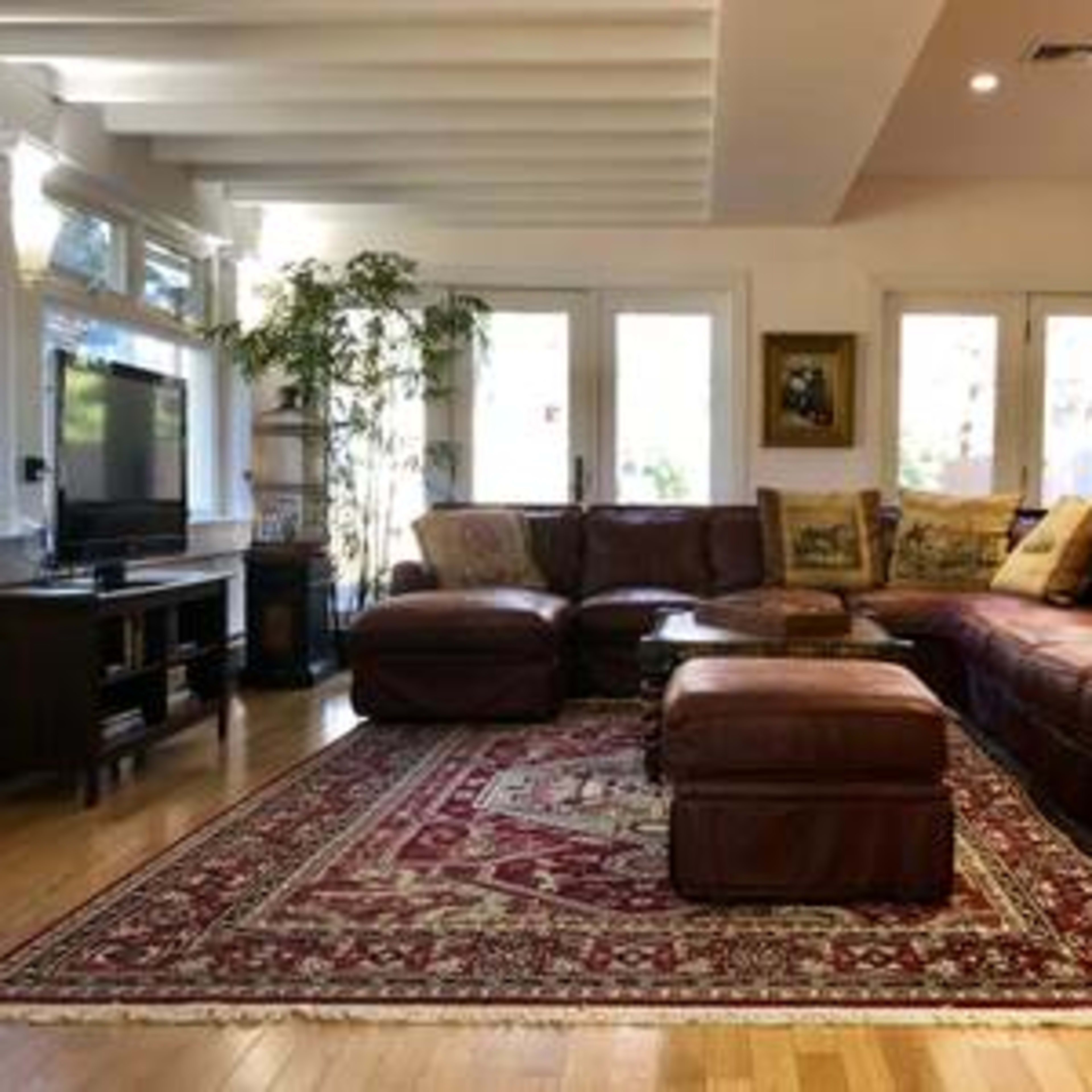 A bright living room featuring a brown leather sectional sofa, an area rug, and large windows with natural light.