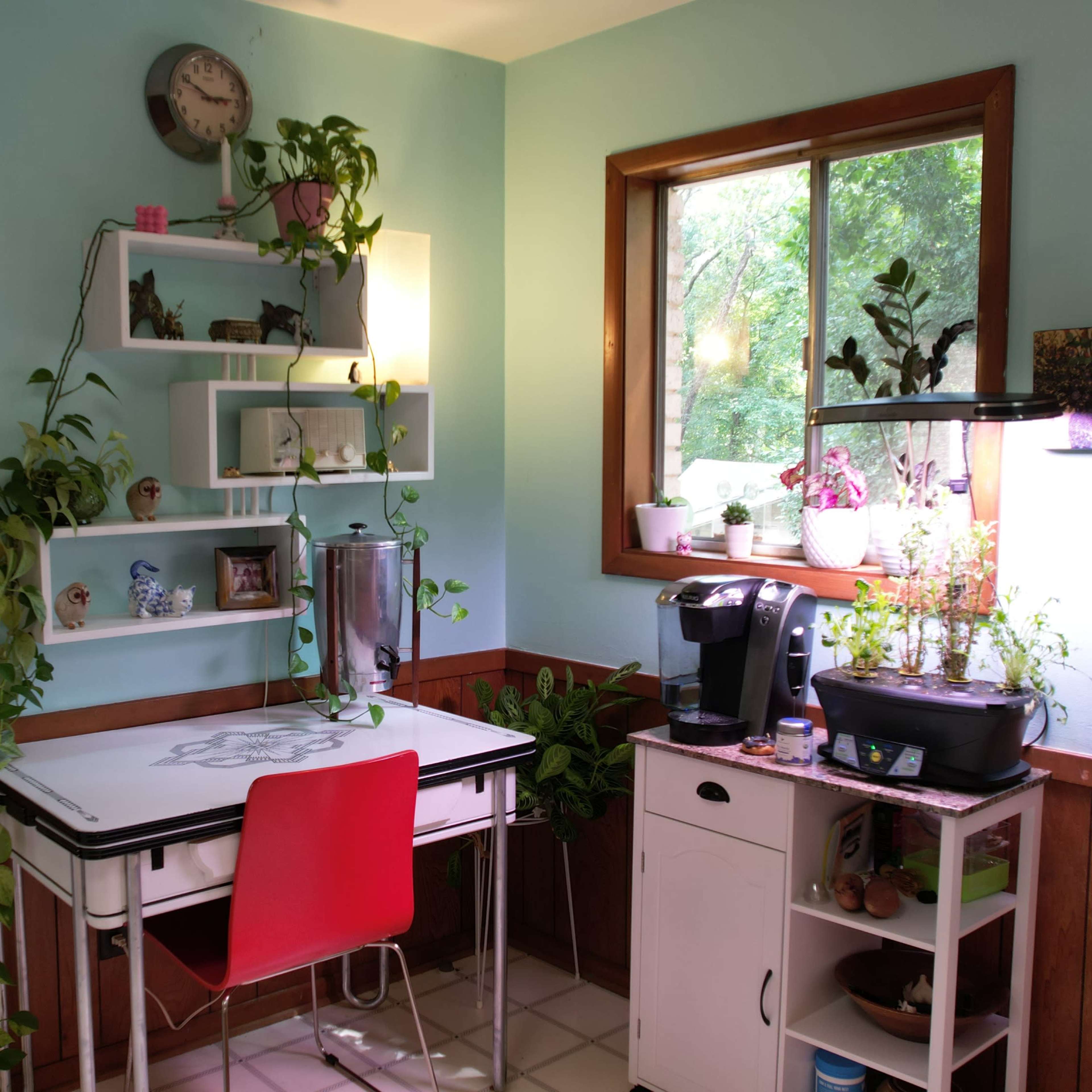 A light blue room features a desk with a red chair, plants on shelves, and a coffee machine near a window overlooking greenery.