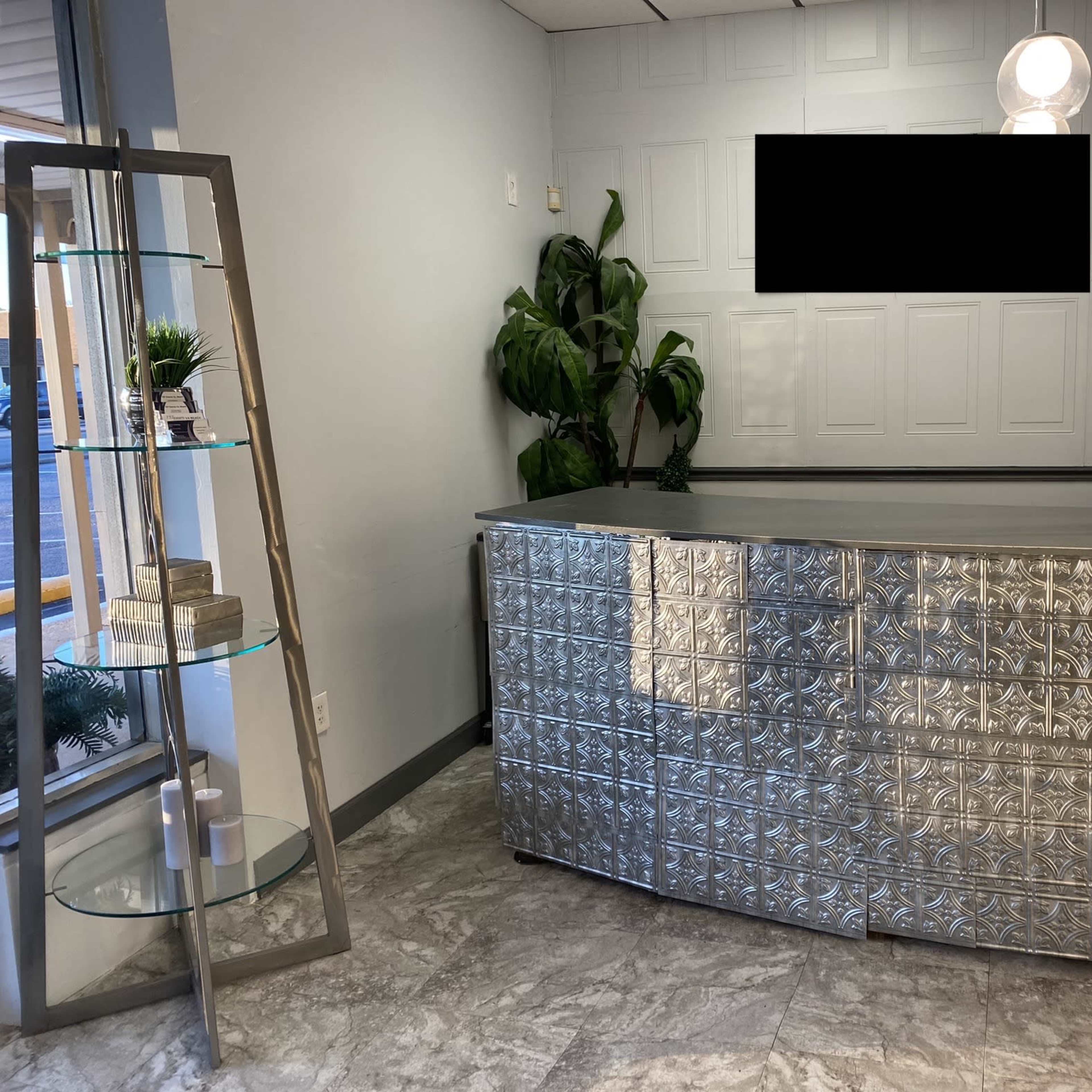 A modern reception area with a reflective silver front desk, a glass display shelf, and a large green plant in the corner.