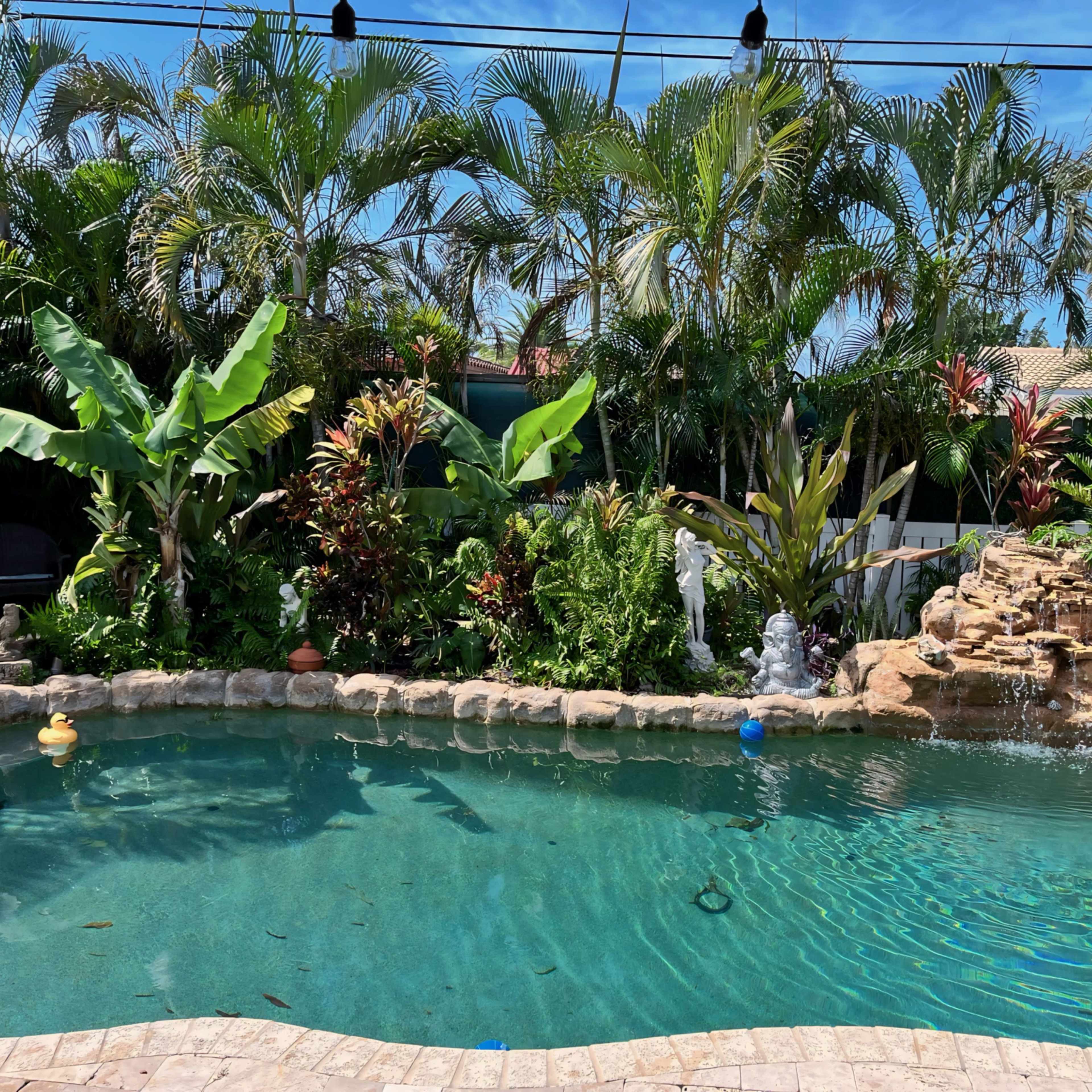 A landscaped pool area surrounded by lush tropical plants and a stone fountain.