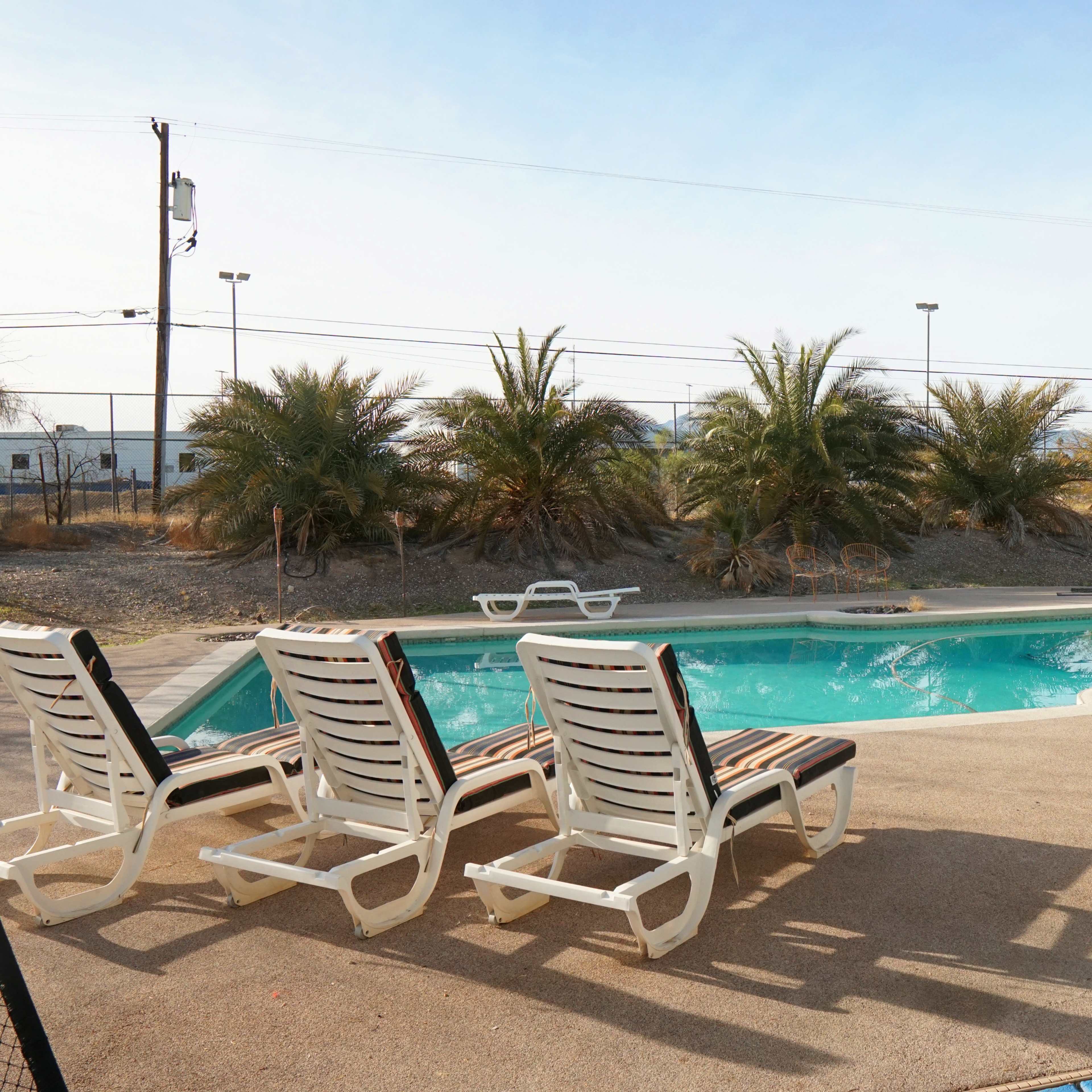 A swimming pool is surrounded by several lounge chairs and palm trees, with power lines visible in the background.