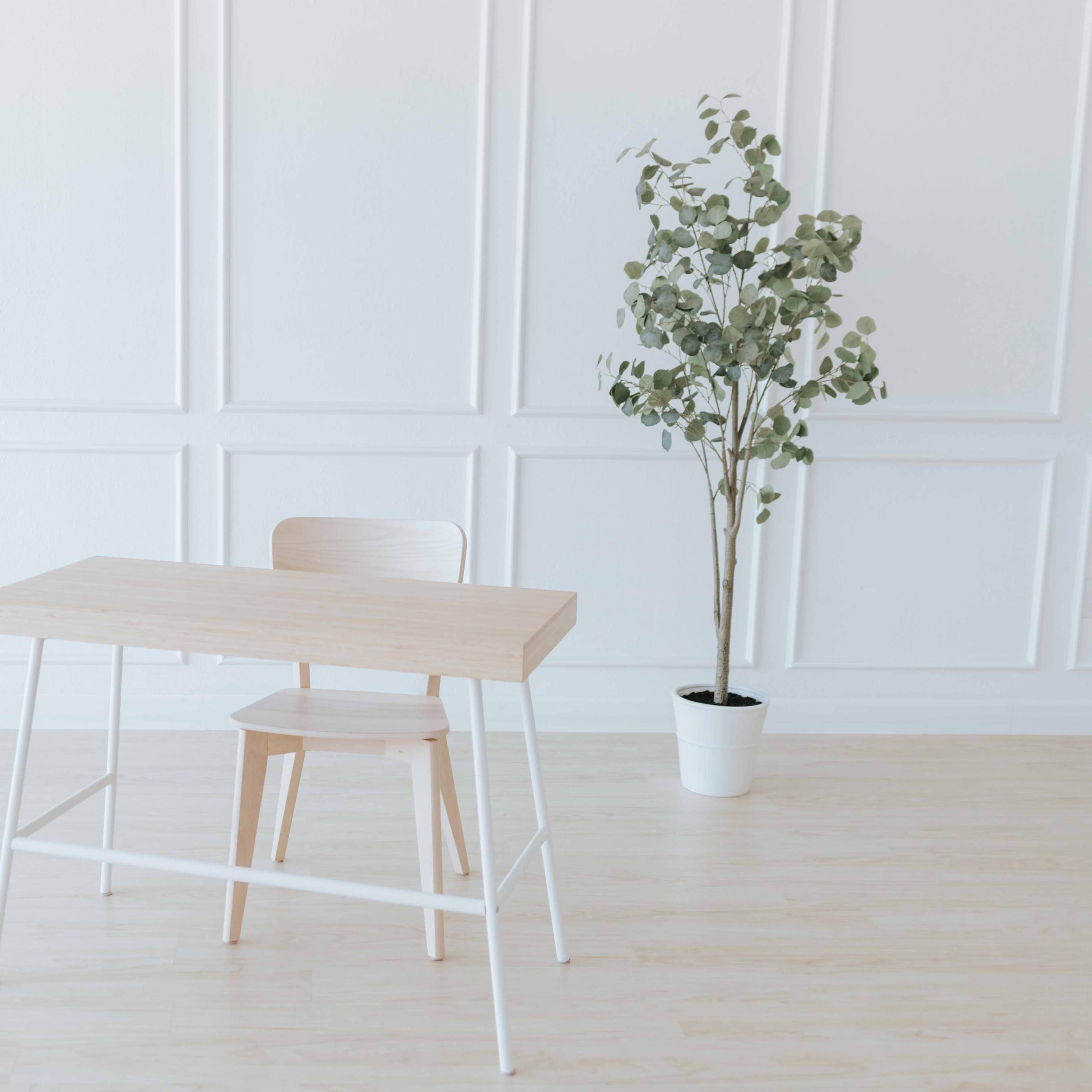 A wooden desk with a chair sits next to a potted plant in a minimalist room with paneled walls.