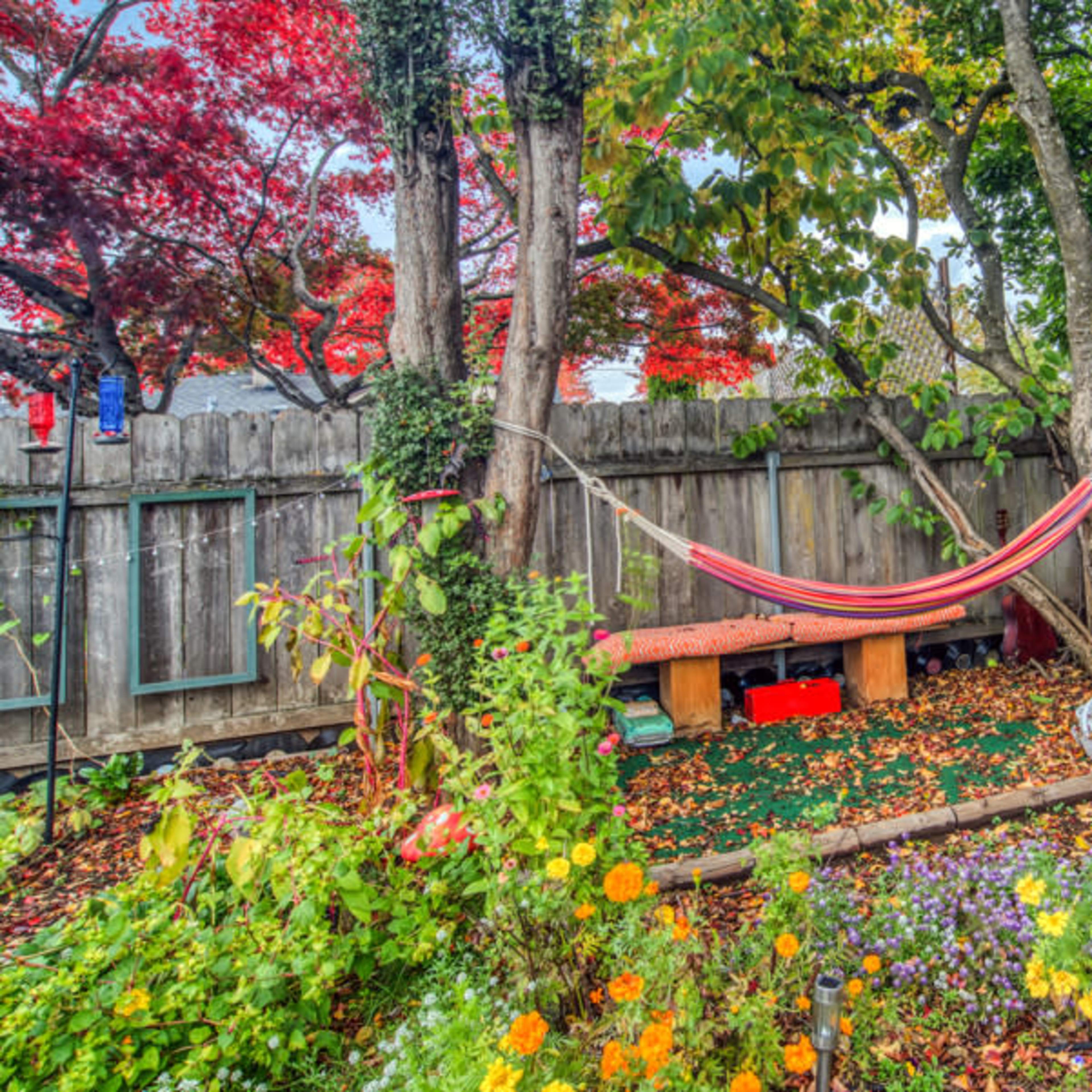 A colorful backyard scene with a hammock suspended between two trees, surrounded by fallen leaves, flowers, and a bamboo fence.