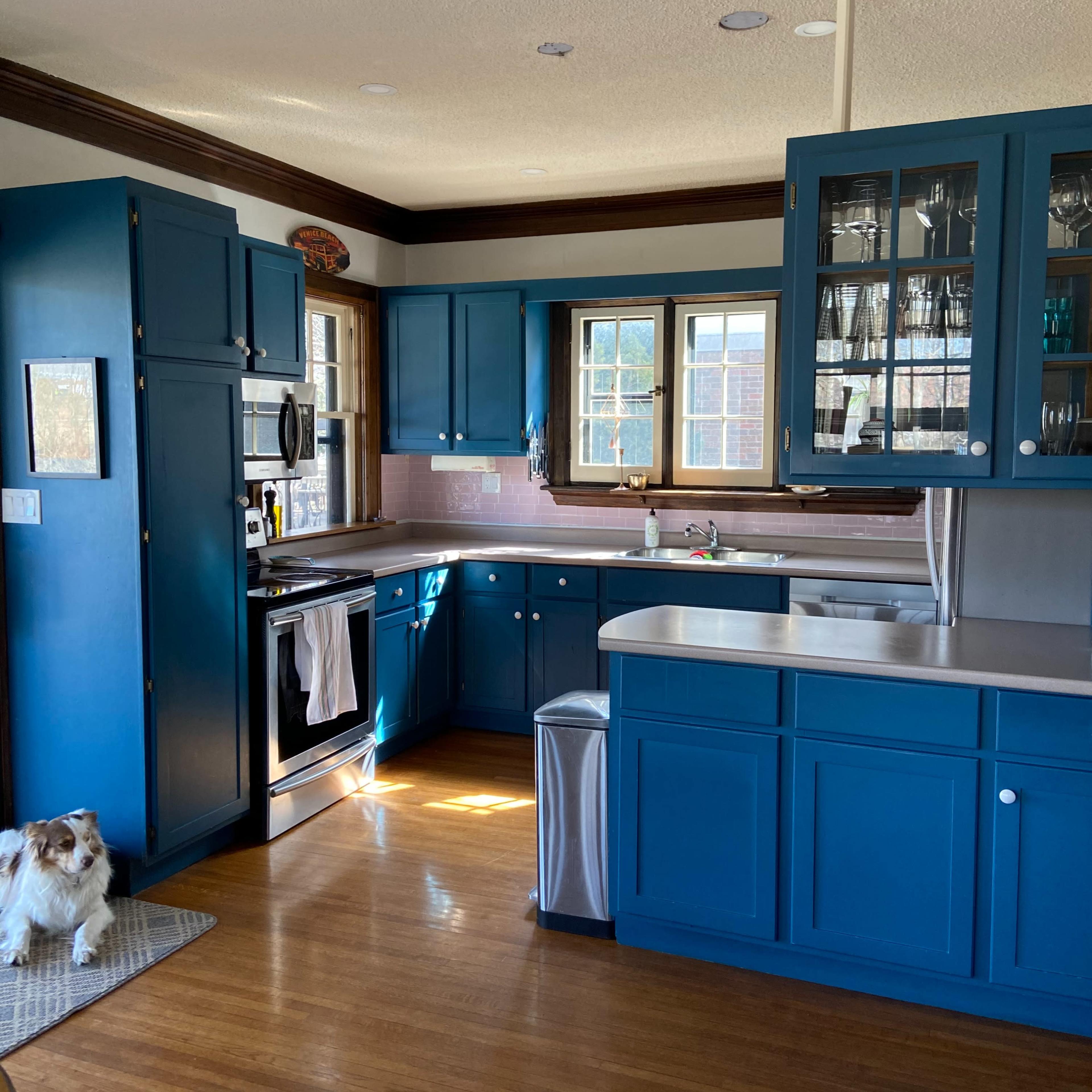 The kitchen features blue cabinetry, modern appliances, a stainless steel sink, and a small dog on a mat by the door.