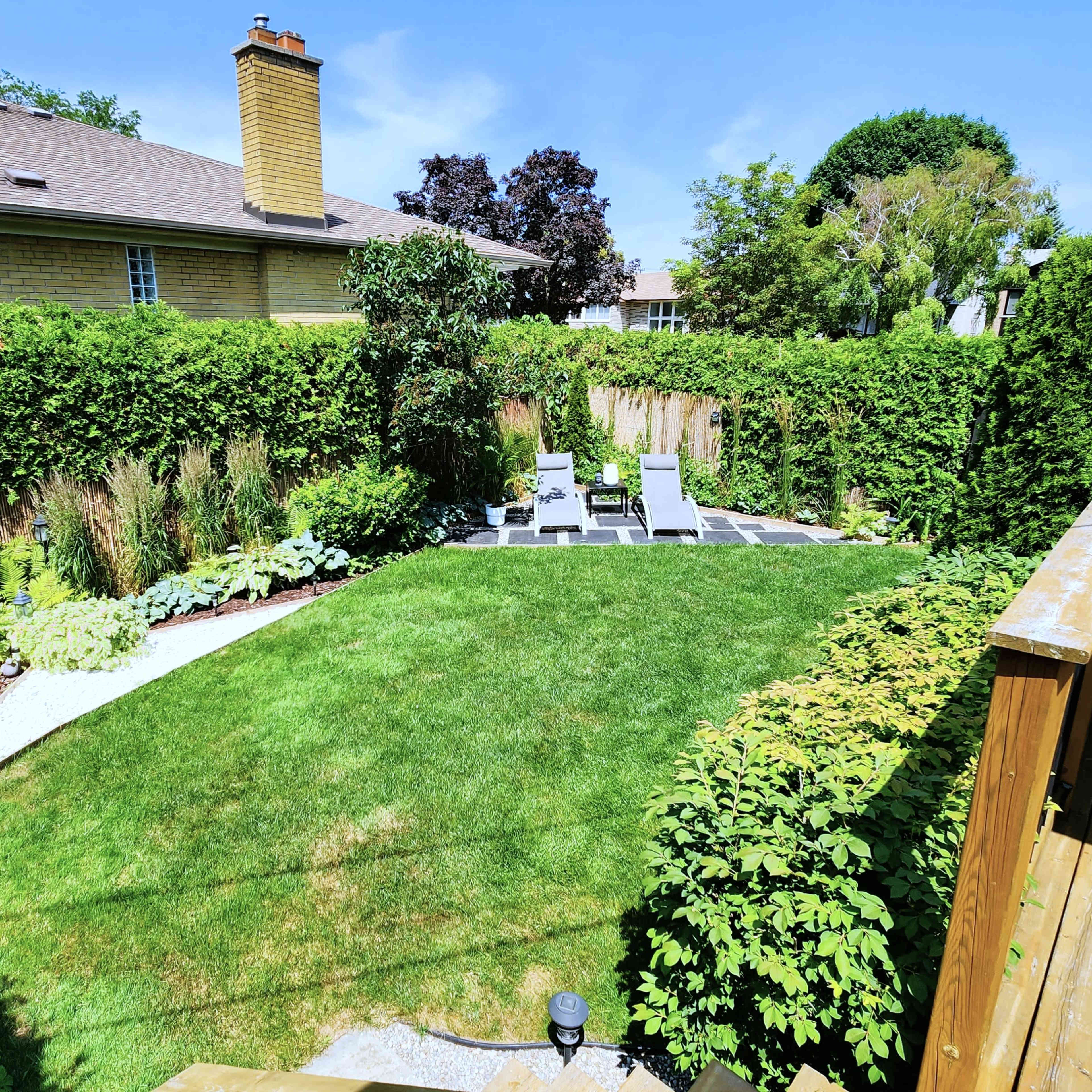 A neatly maintained backyard with a green lawn, surrounded by tall hedges, featuring two lounge chairs and various plants.
