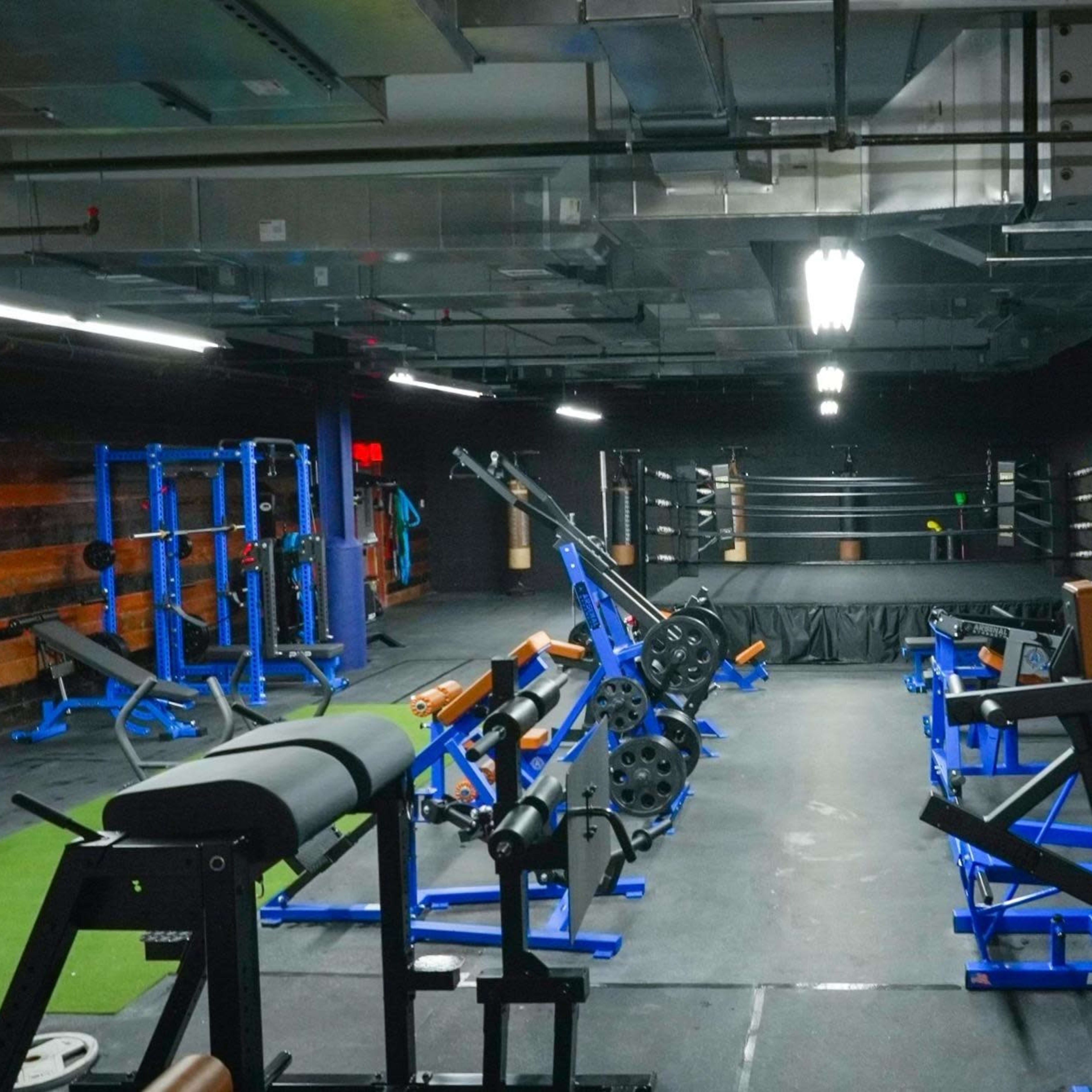 A gym interior featuring various weightlifting equipment and a boxing ring surrounded by blue and black furnishings.