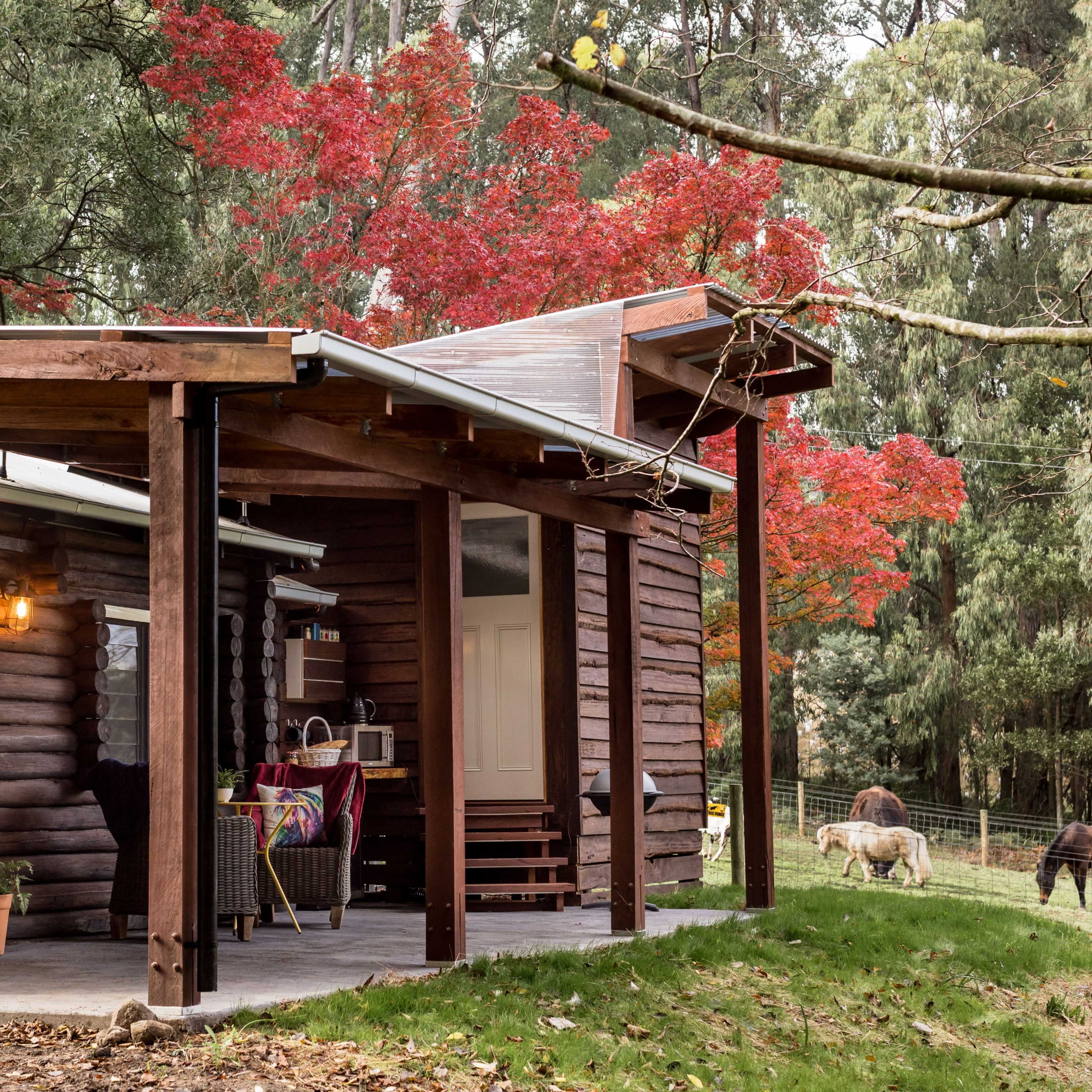 A wooden log cabin with a porch is nestled among trees, showcasing vibrant autumn foliage in the background.