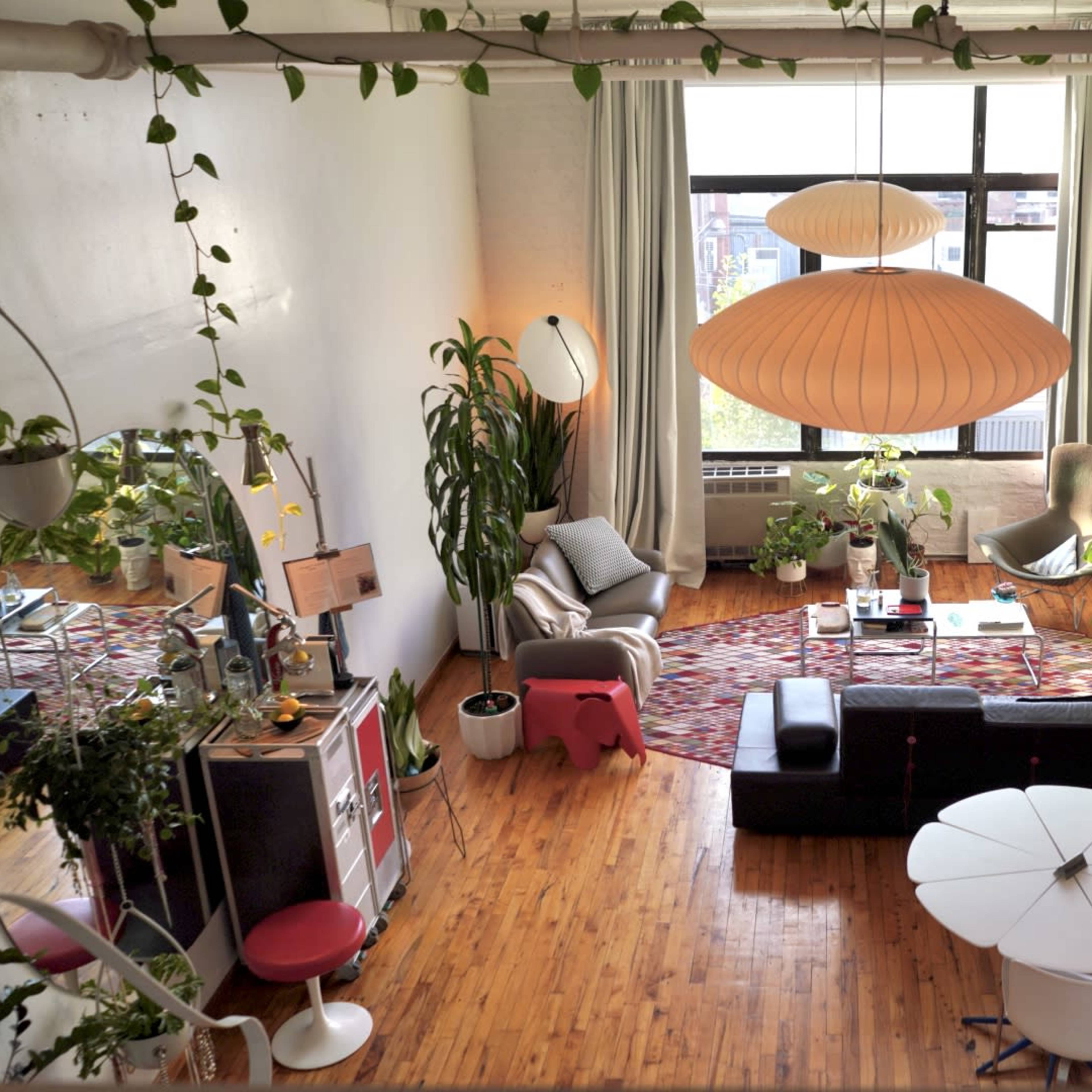 An open and bright living space with large windows, various plants, a central round table, and a mix of modern furniture.