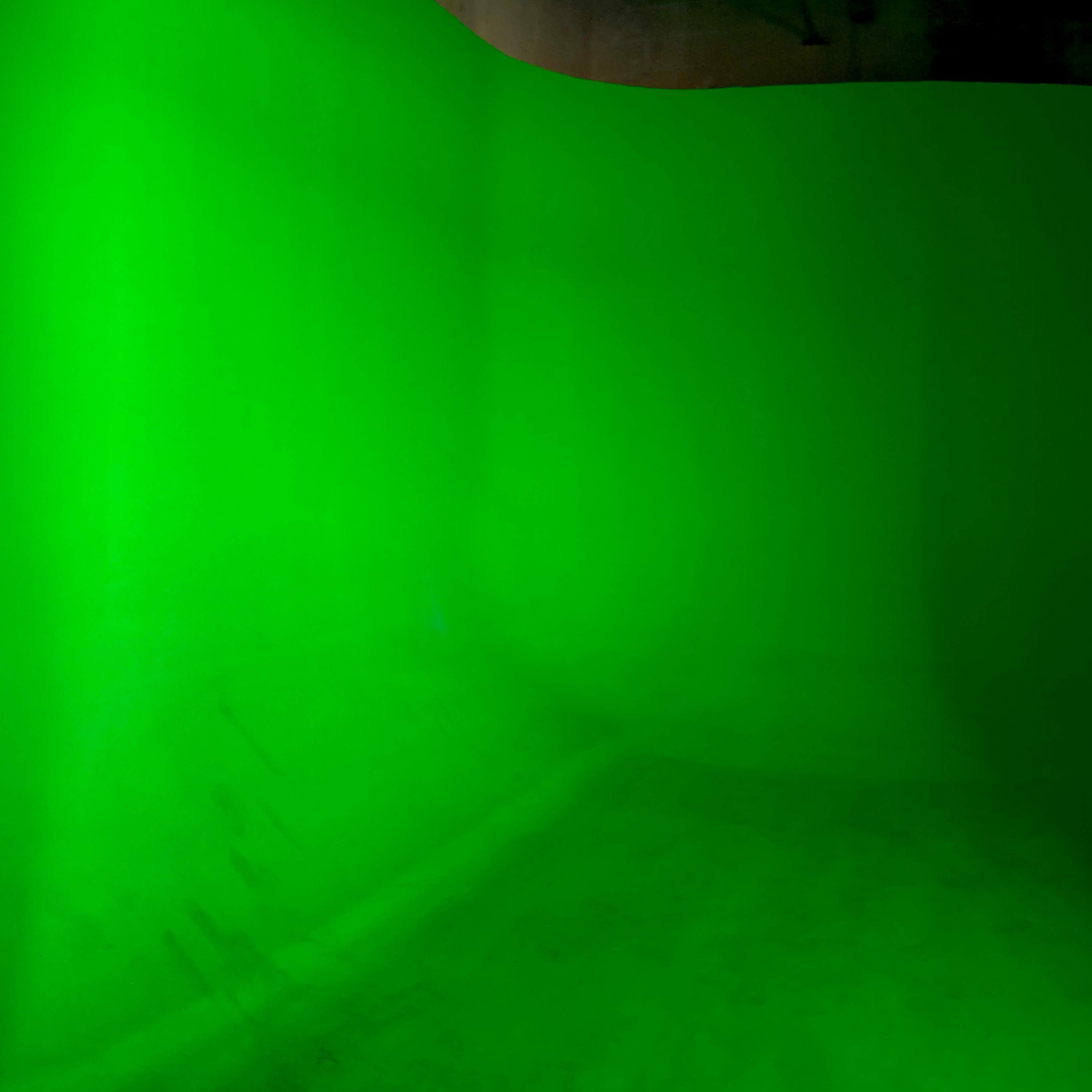 An empty room with bright green walls and floor.