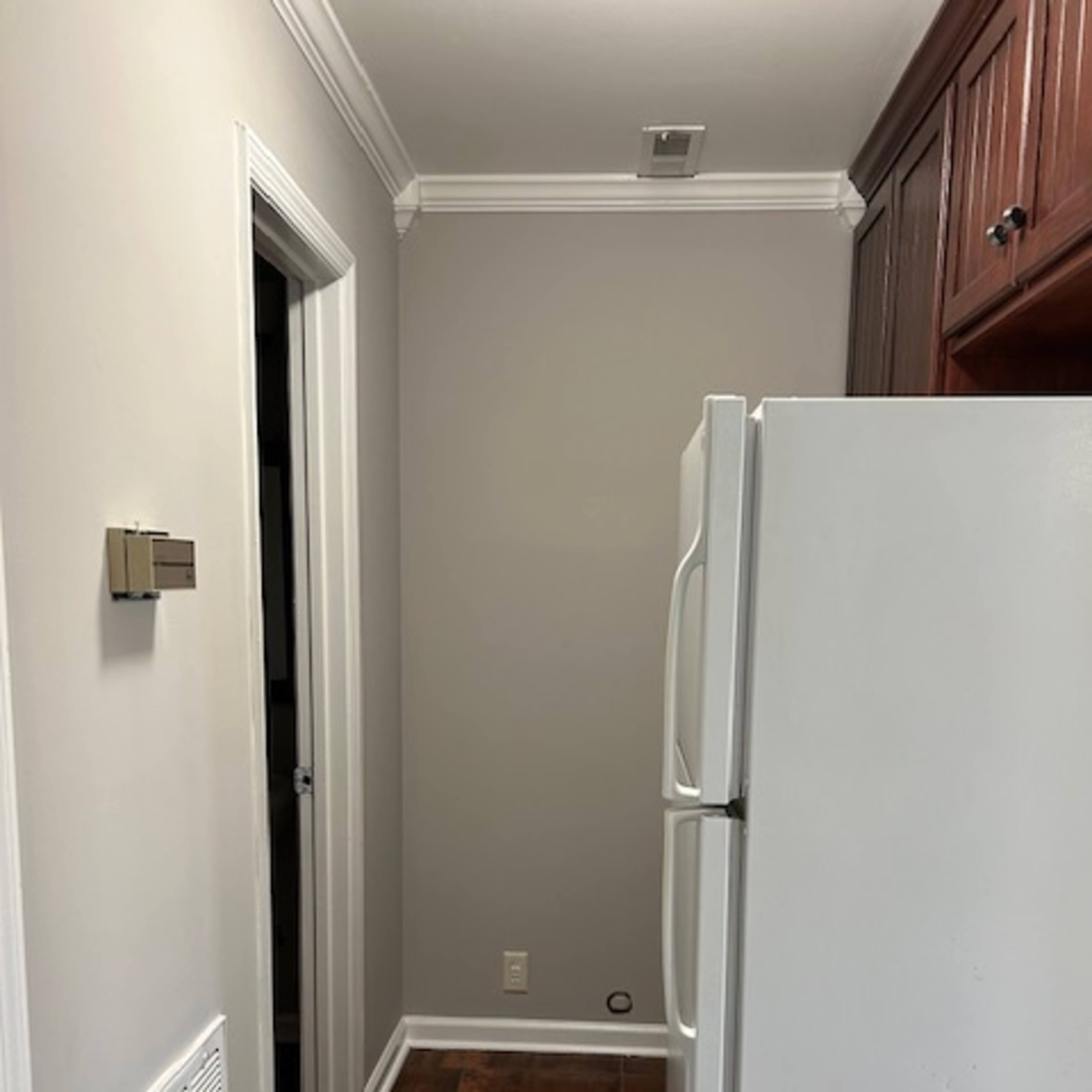 A narrow hallway features a white refrigerator next to a wall with a door leading to another room.