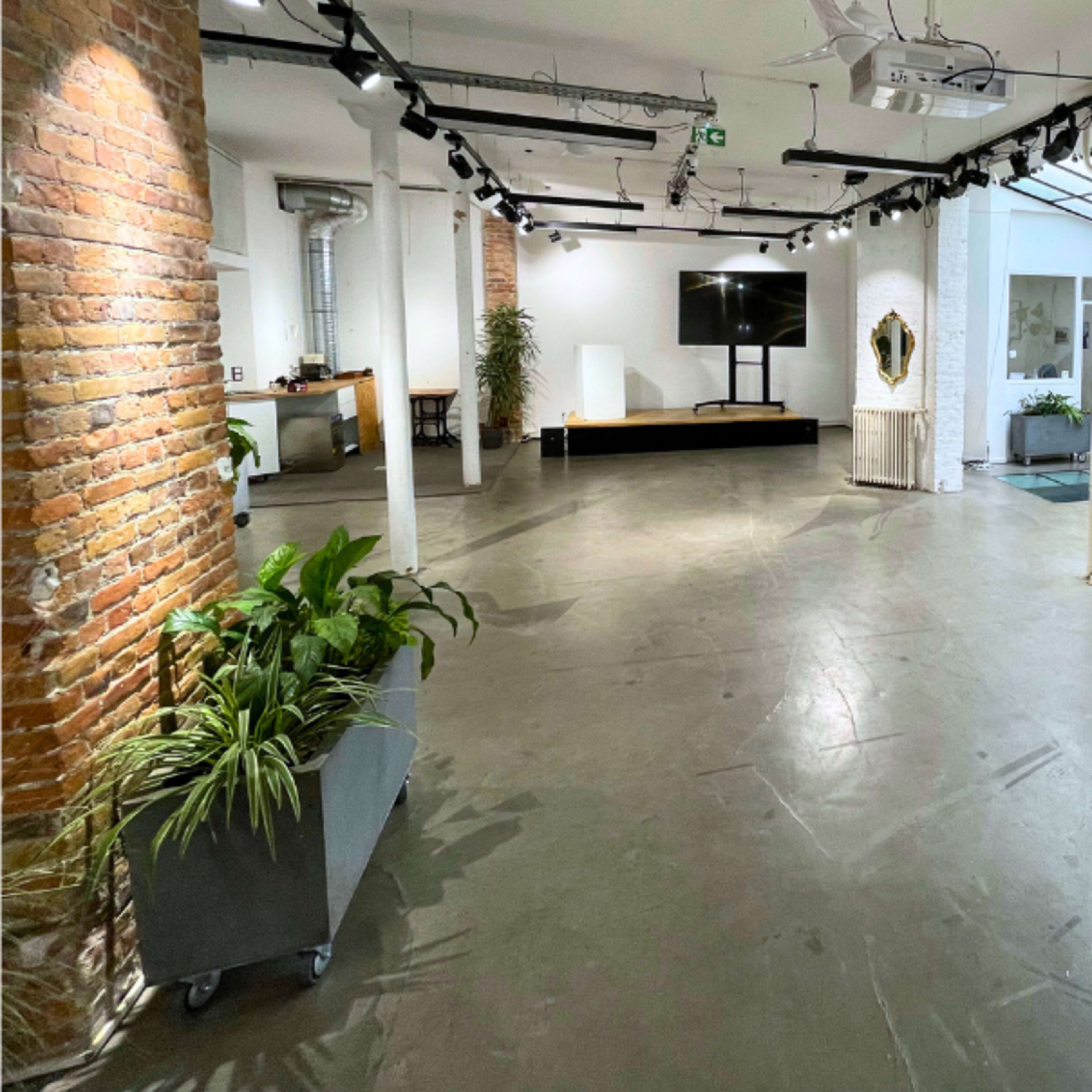 A spacious, well-lit area features brick walls, a large television, plants, and a glass section in the floor.