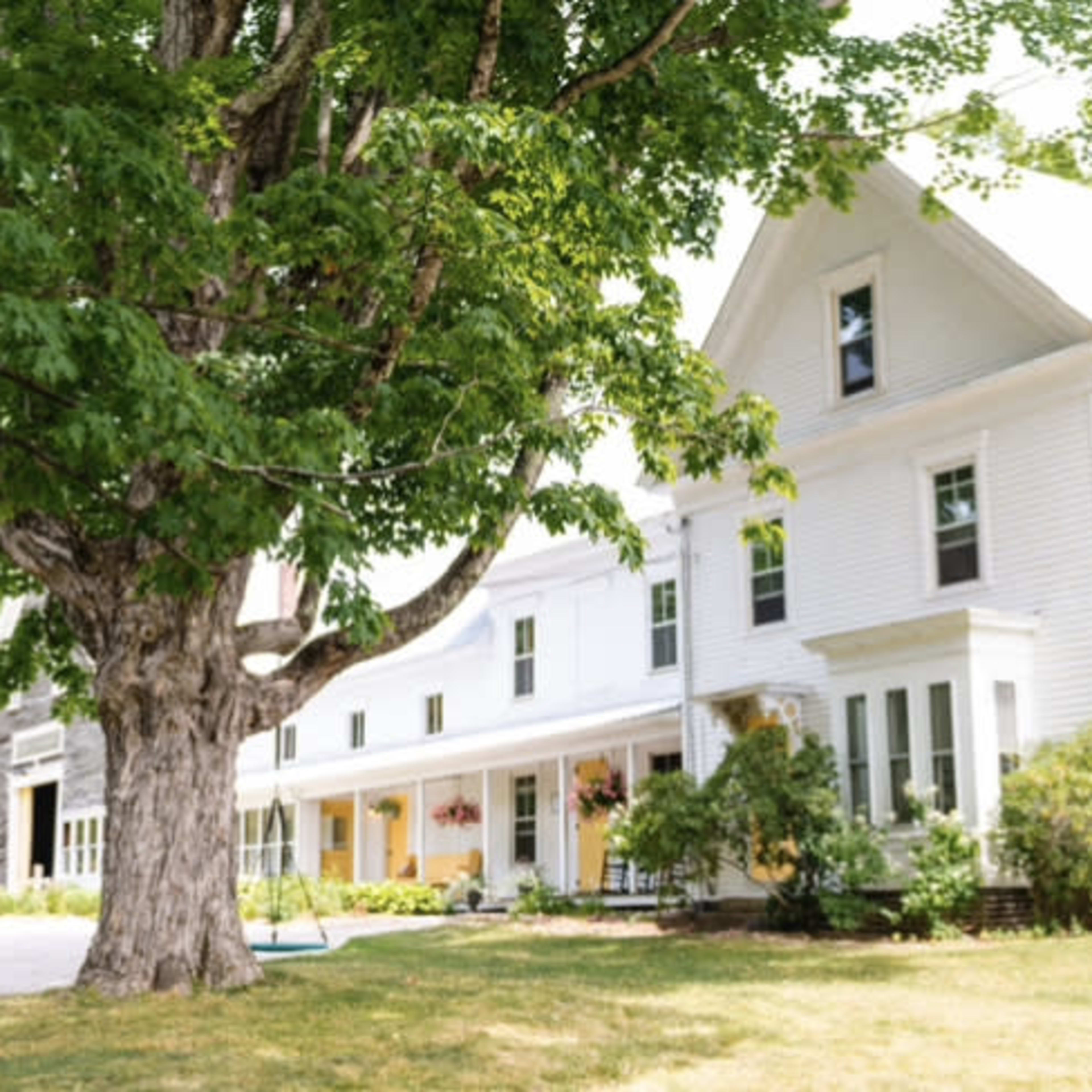 A large white house with multiple windows is situated next to a large tree in a green, open area.