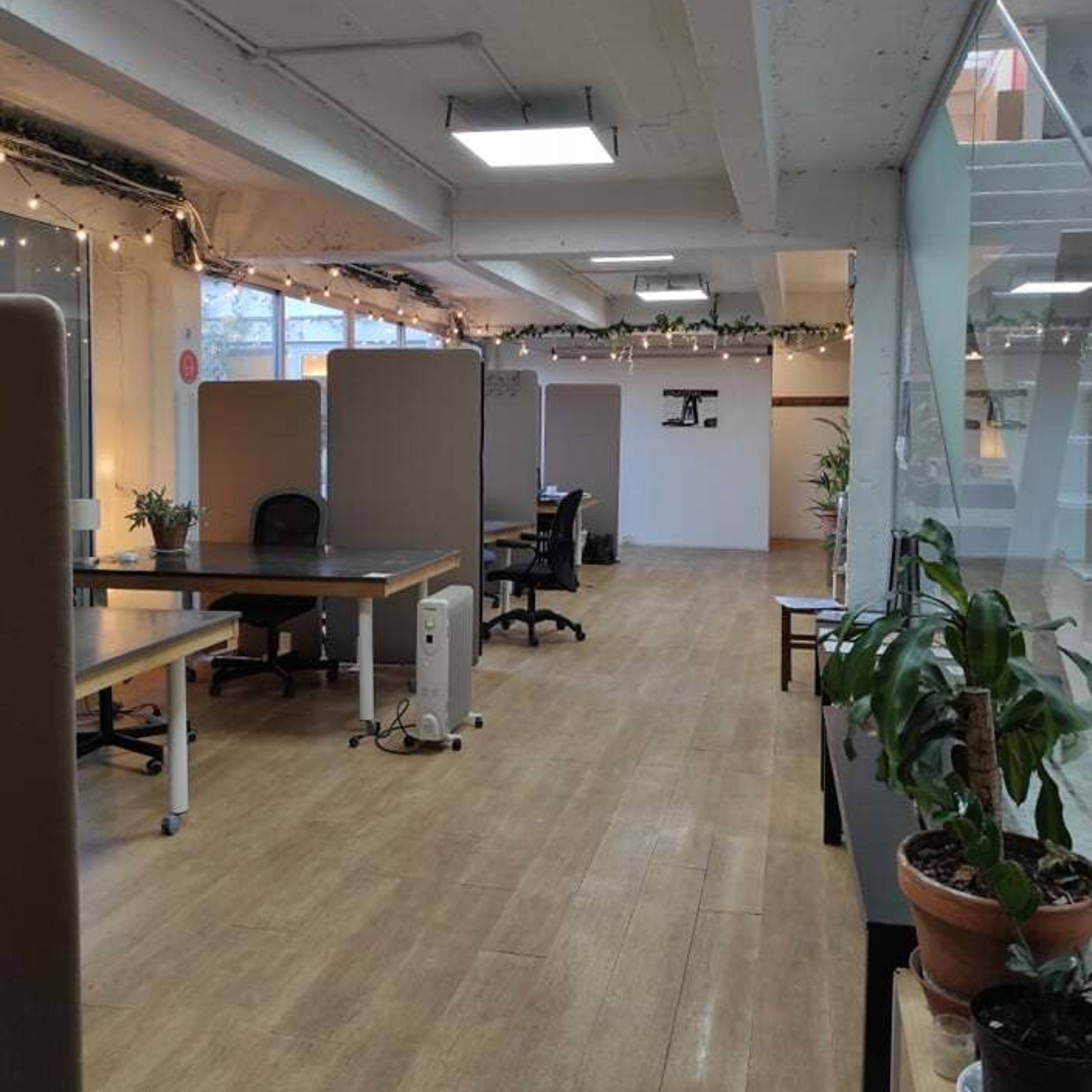 A spacious office area with desks, office chairs, and partition screens, surrounded by plants and bright lighting.