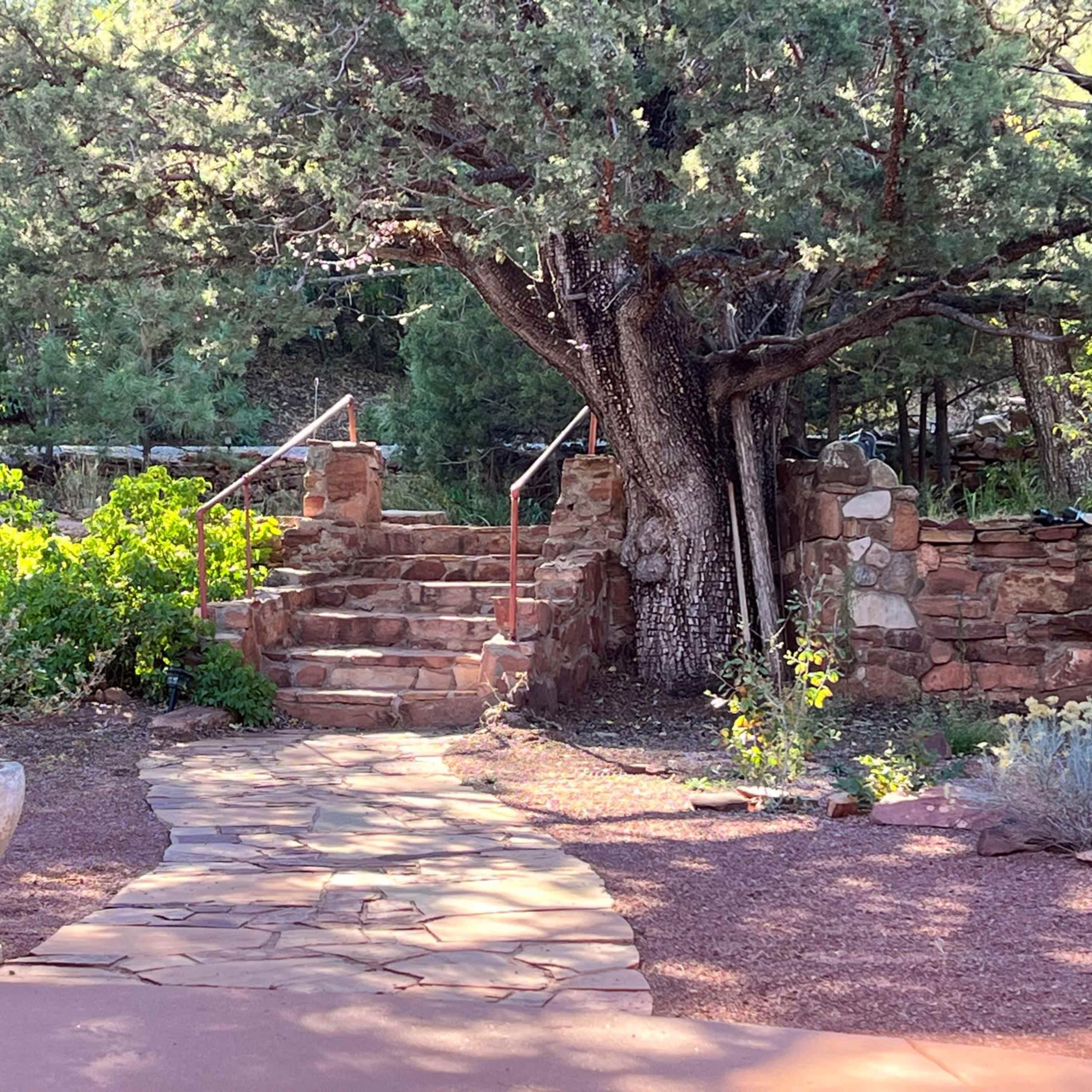A stone pathway leads to a set of stairs flanked by a large tree and a stone wall in a landscaped garden.
