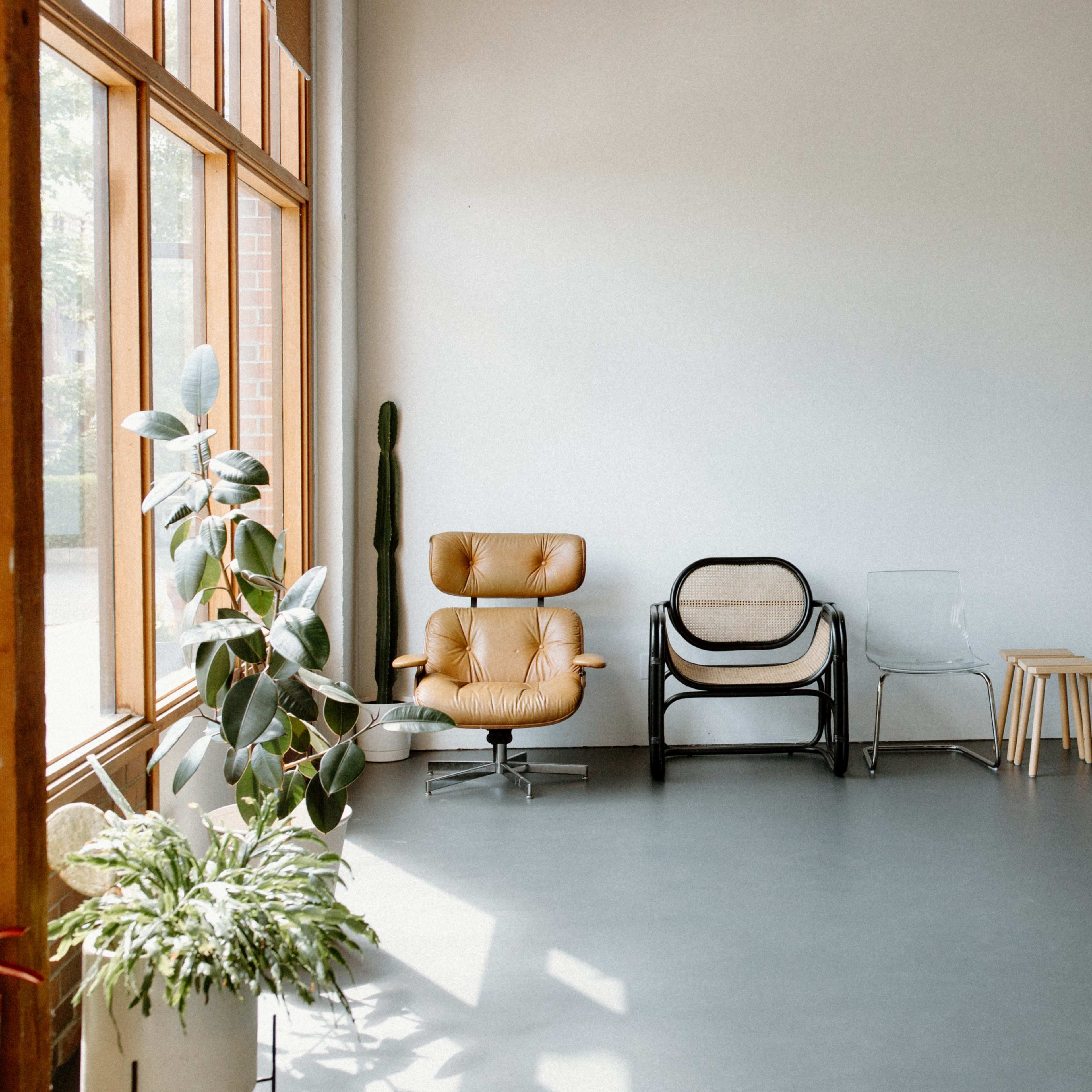 A variety of chairs arranged against a bare wall in a sunlit interior space, with a few potted plants nearby.