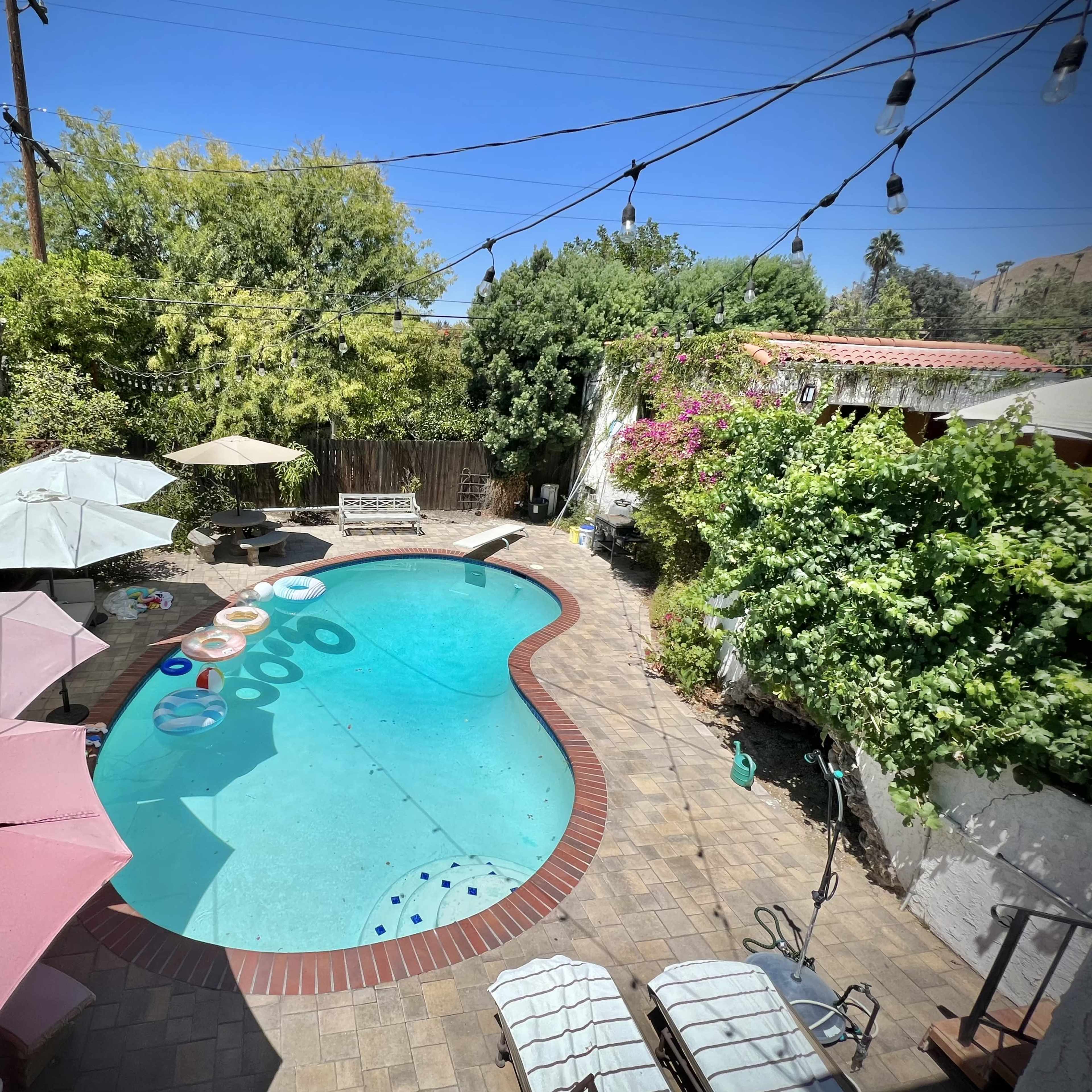 A backyard swimming pool surrounded by lush greenery, patio umbrellas, and floating pool toys.