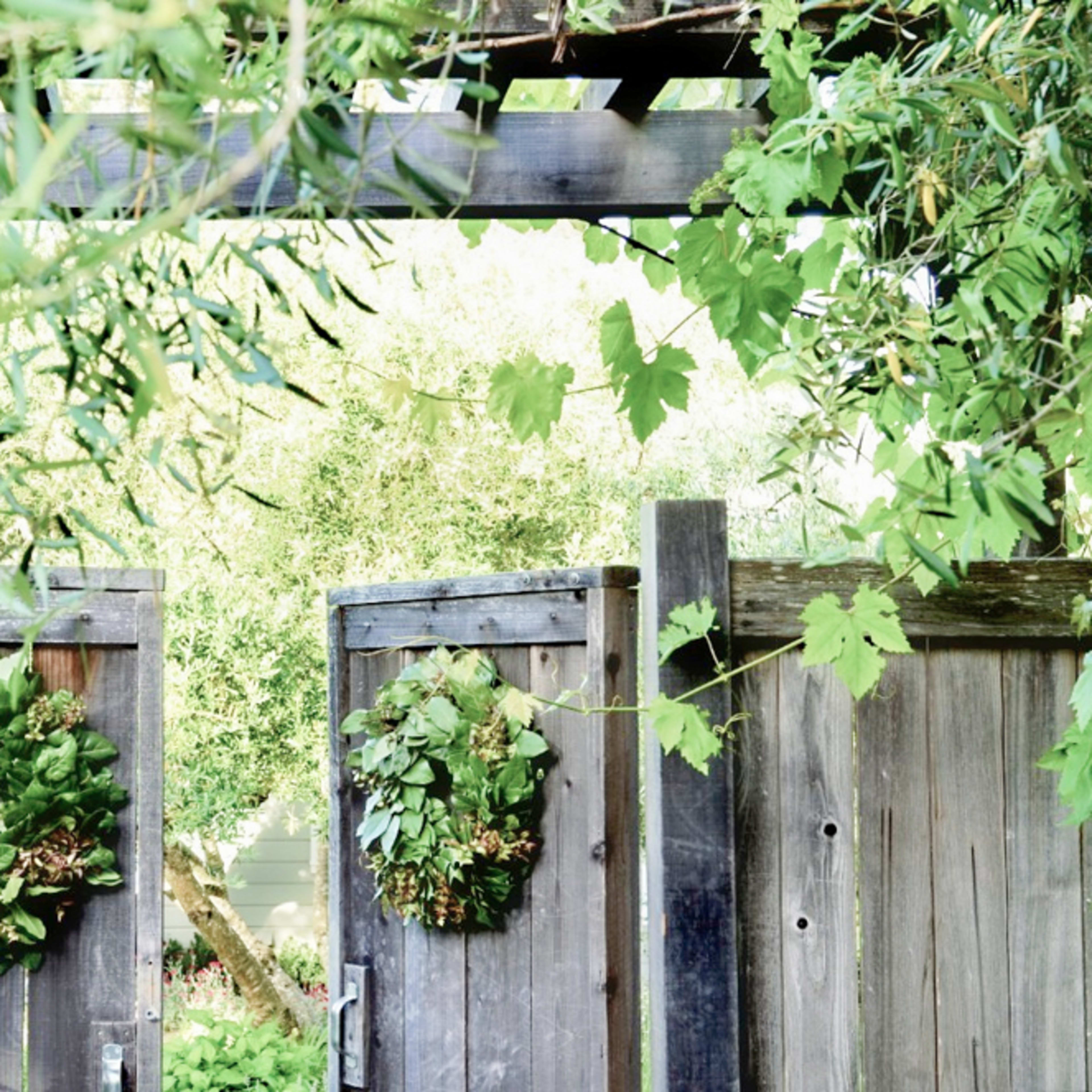Two wooden gates adorned with wreaths of greenery are partially open, leading into a lush garden beyond.