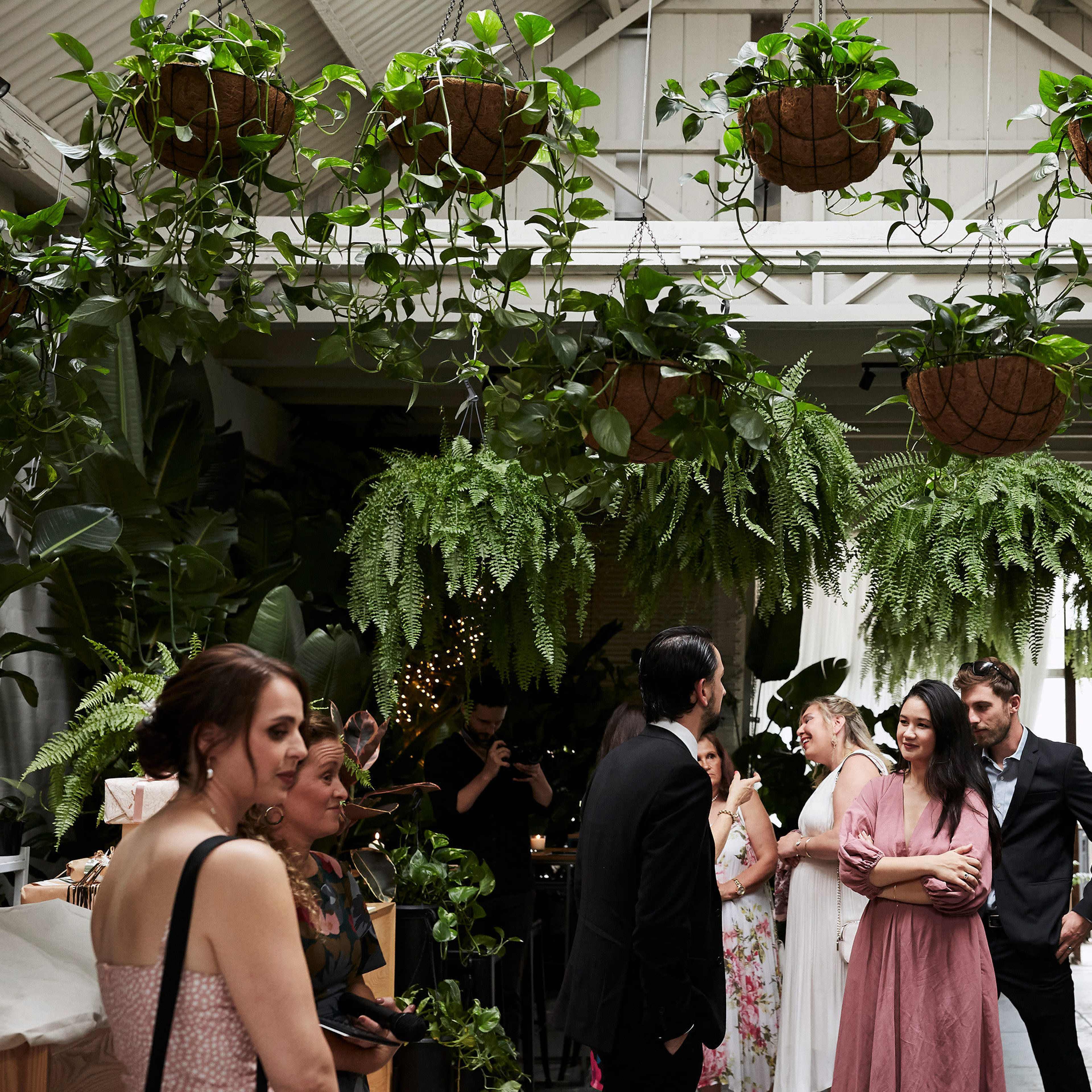 A group of people socialize in a lush, plant-filled indoor space decorated with hanging baskets of greenery.