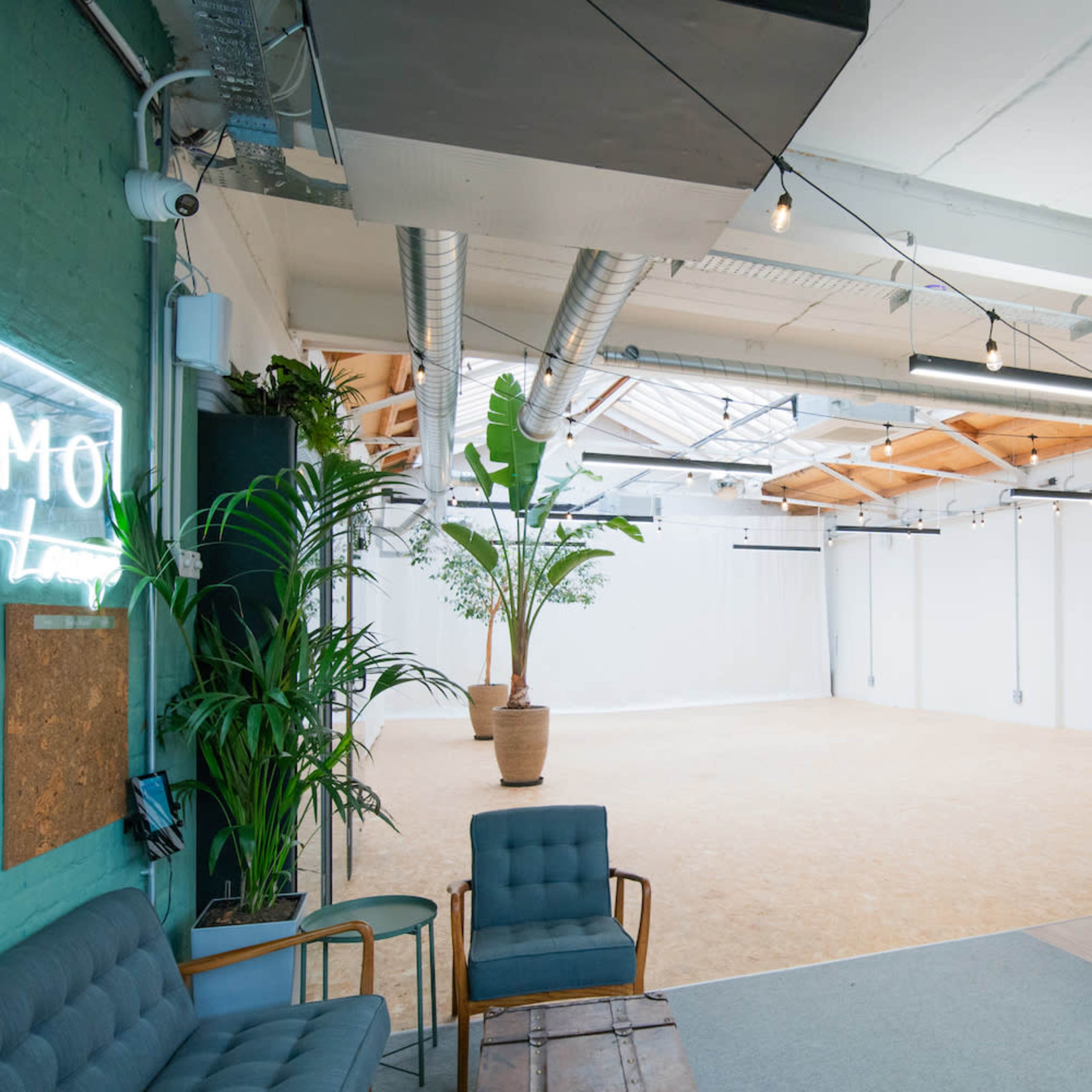 A spacious, well-lit studio or workspace featuring minimalist decor, large plants, and an open area with a light-colored floor.