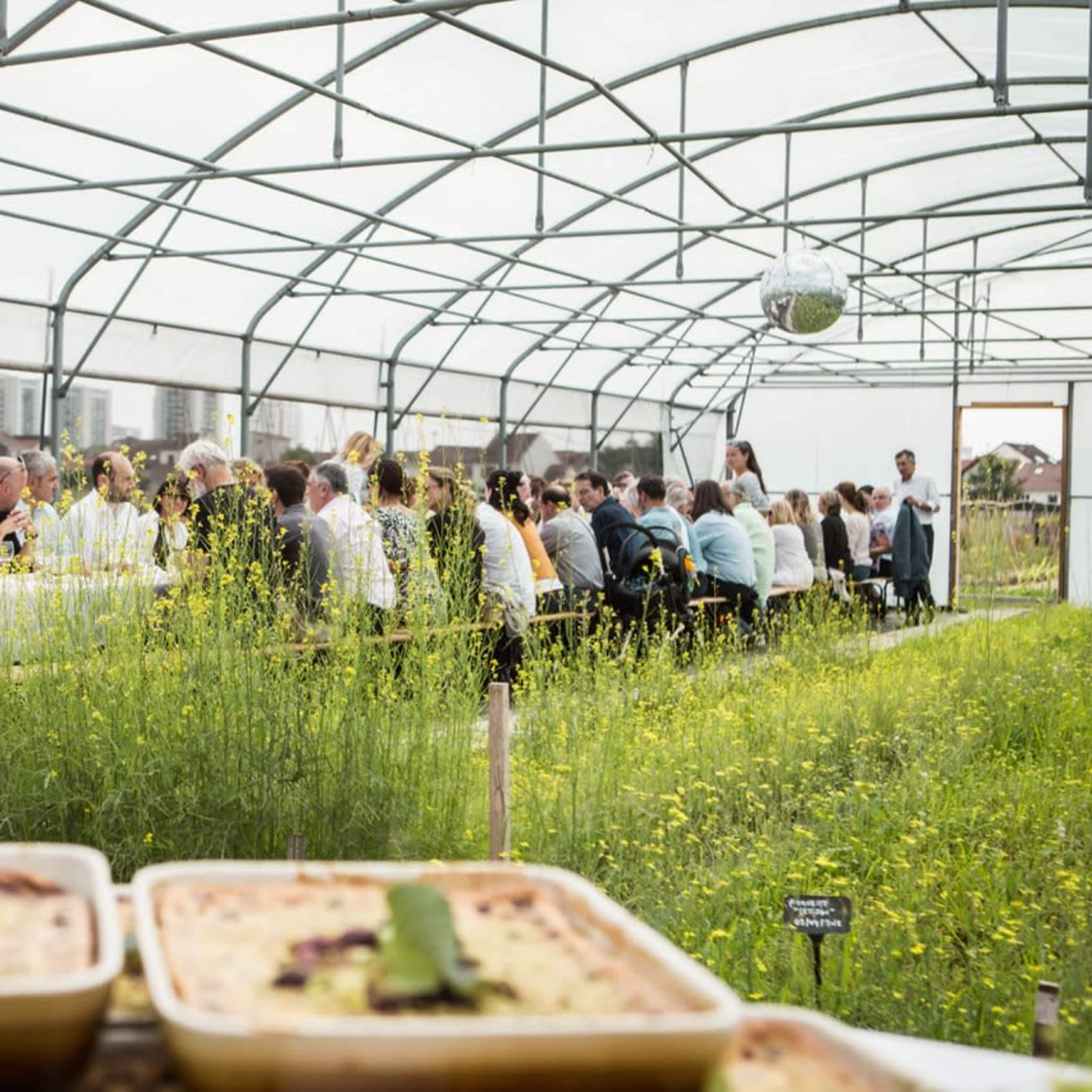 lieu urbain, ferme urbaine, permaculture, serre Image dans , Saint-Denis, Île-de-France