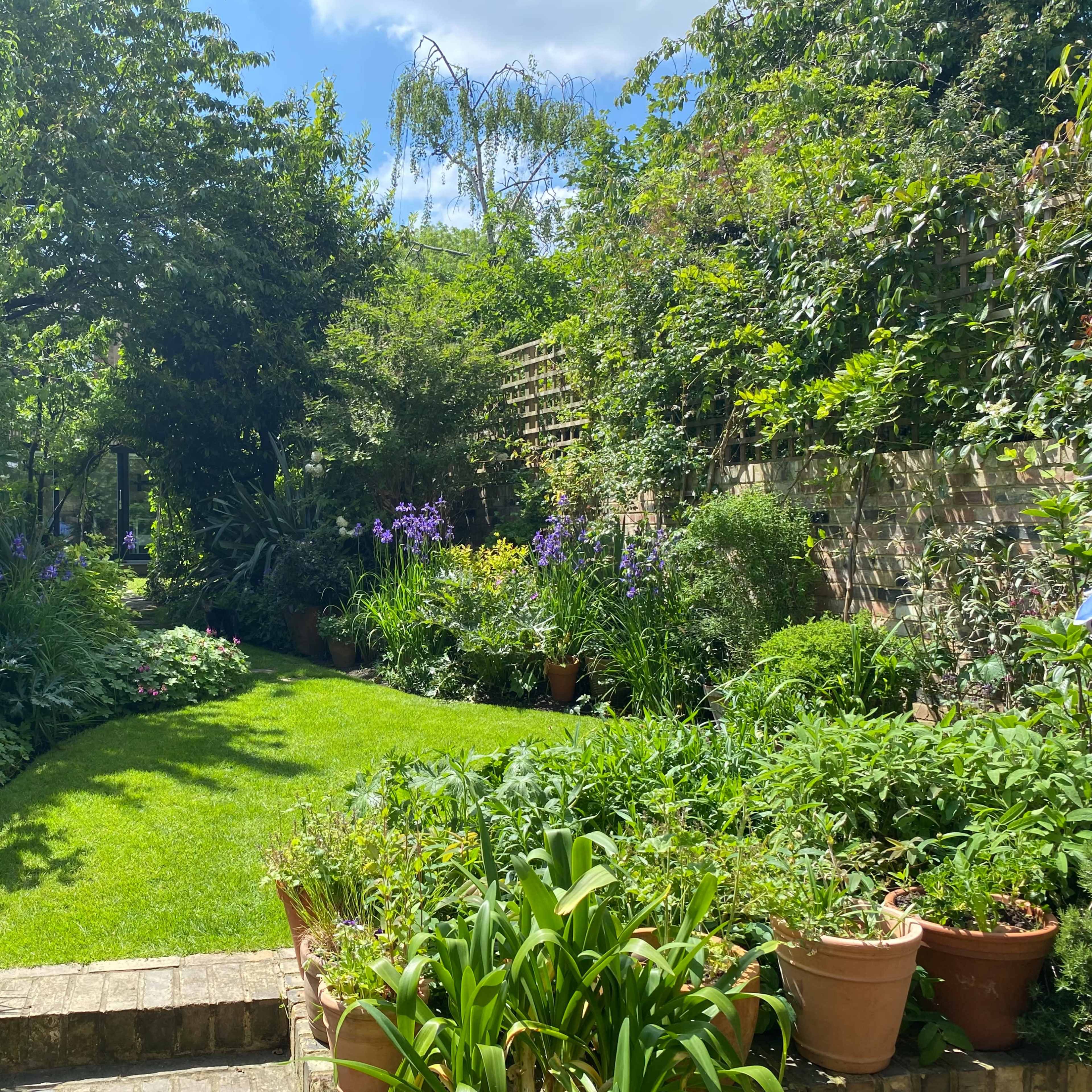 A lush garden features a green lawn surrounded by various flowering plants and shrubs in terracotta pots under a blue sky.