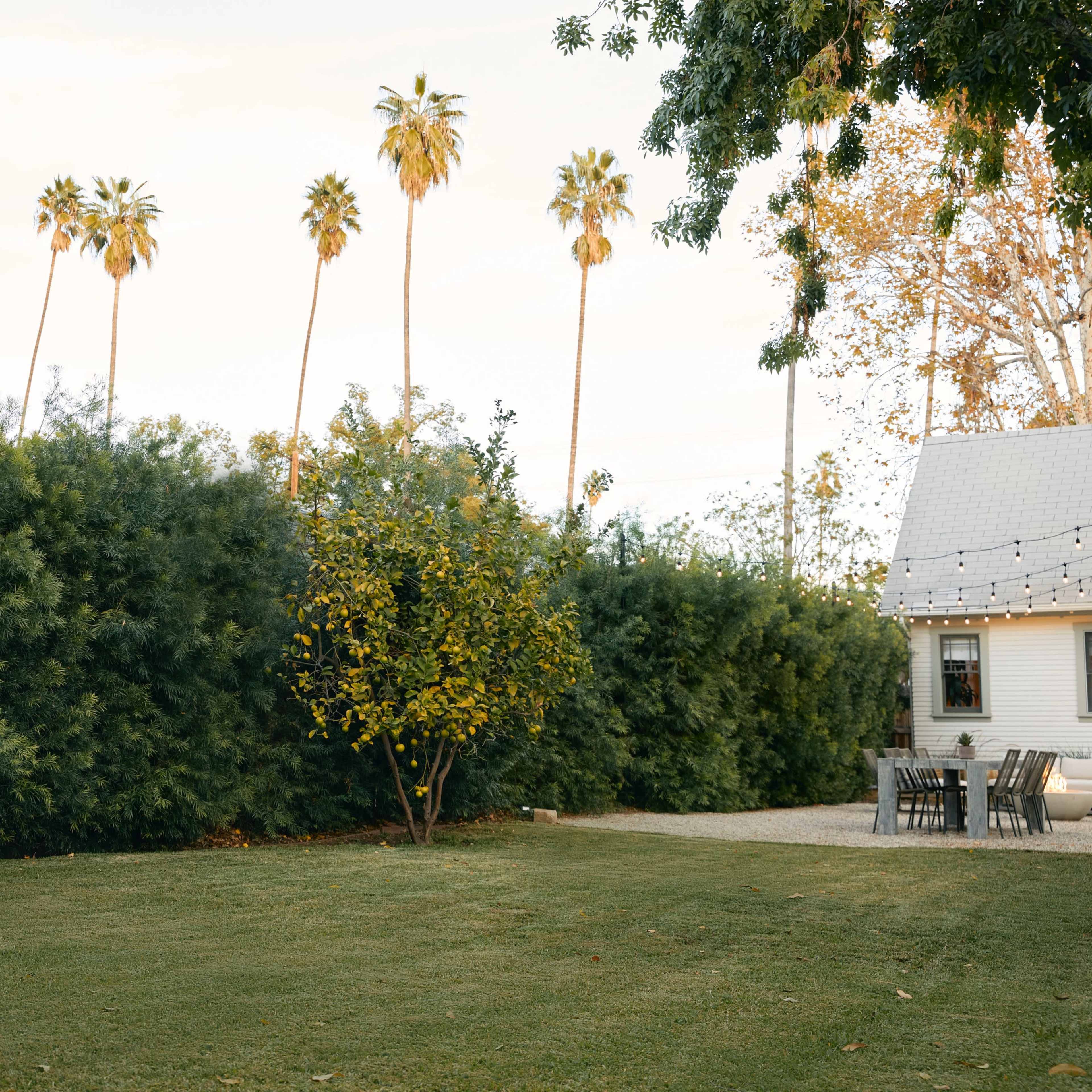A spacious backyard features neatly trimmed grass, a small tree, and tall palms in the background, alongside a nearby house.