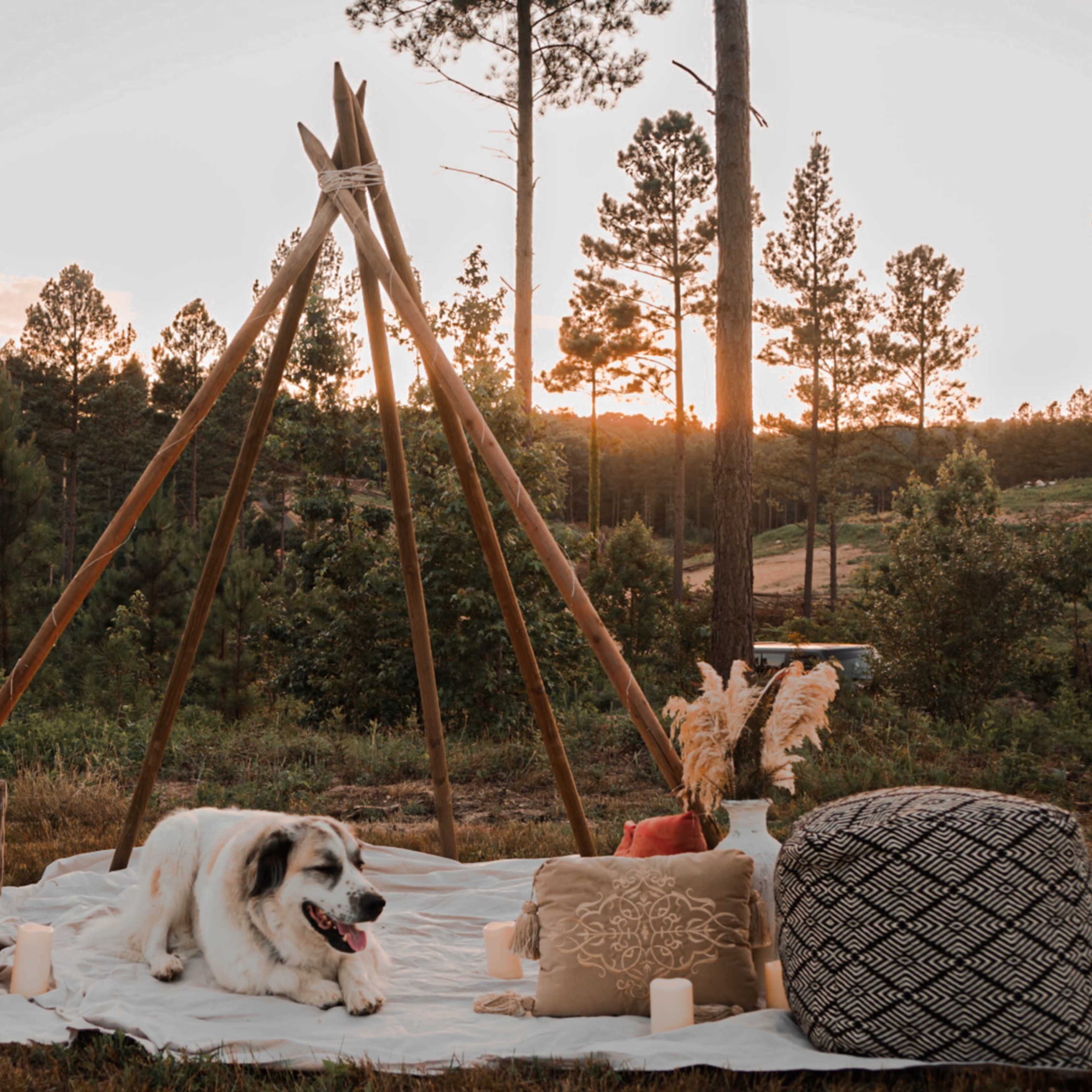 A wooden teepee structure is set up in a grassy area surrounded by trees, with a dog resting on a blanket and decorative pillows, alongside candles and a picnic basket.