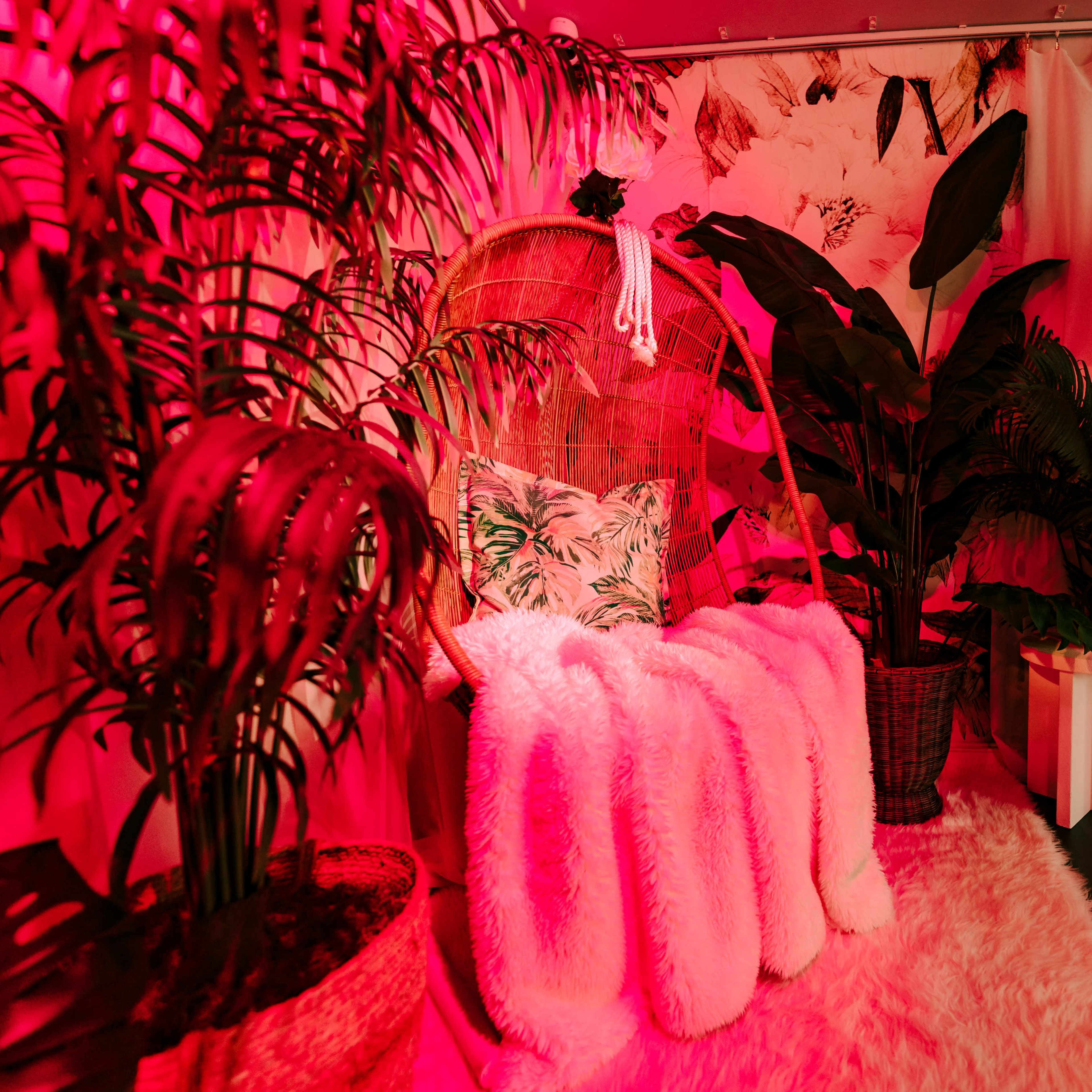 The Pose Room Image in Deerfield Village, Houston, TX