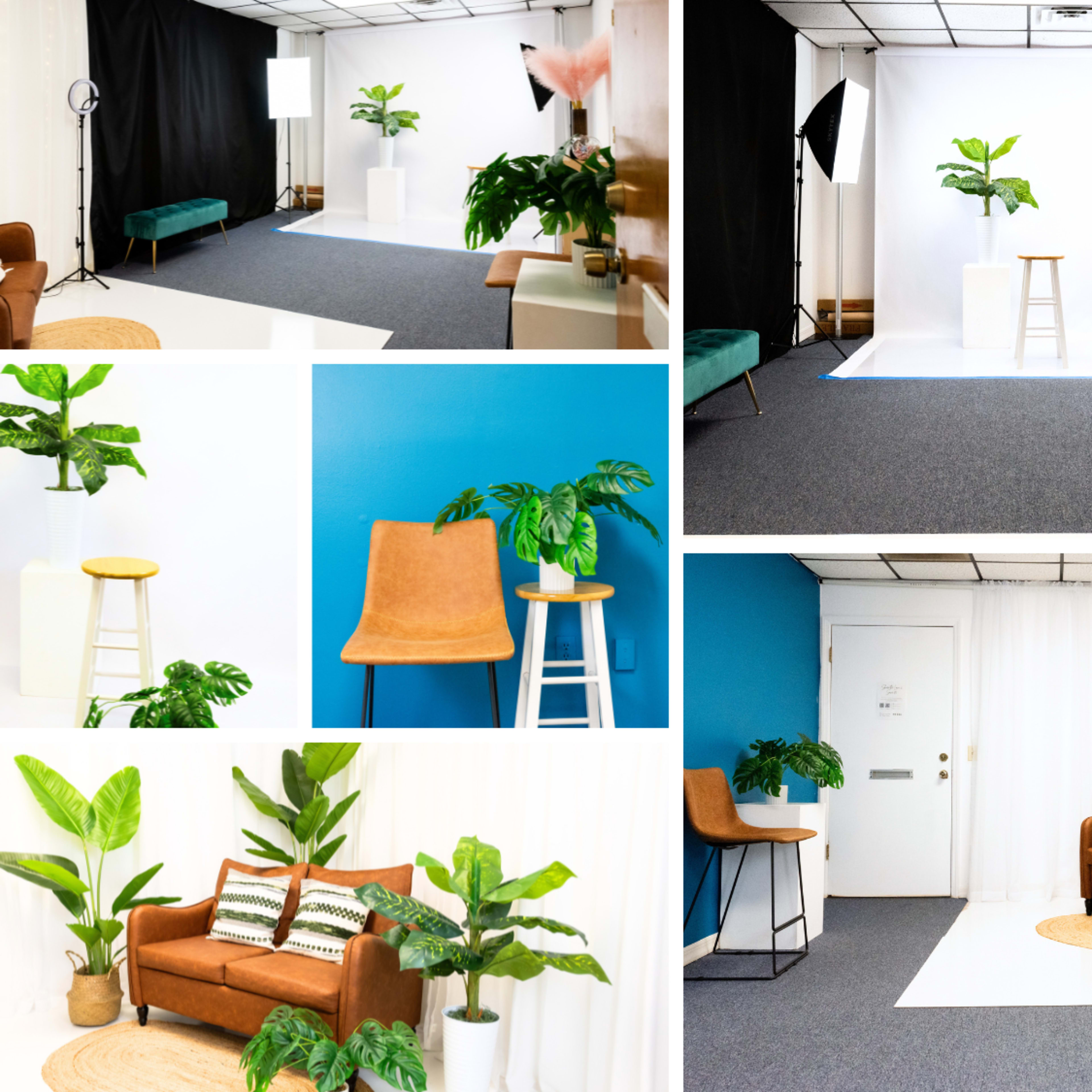 The Tampa Studio Image in Lake Magdalene, Tampa, FL