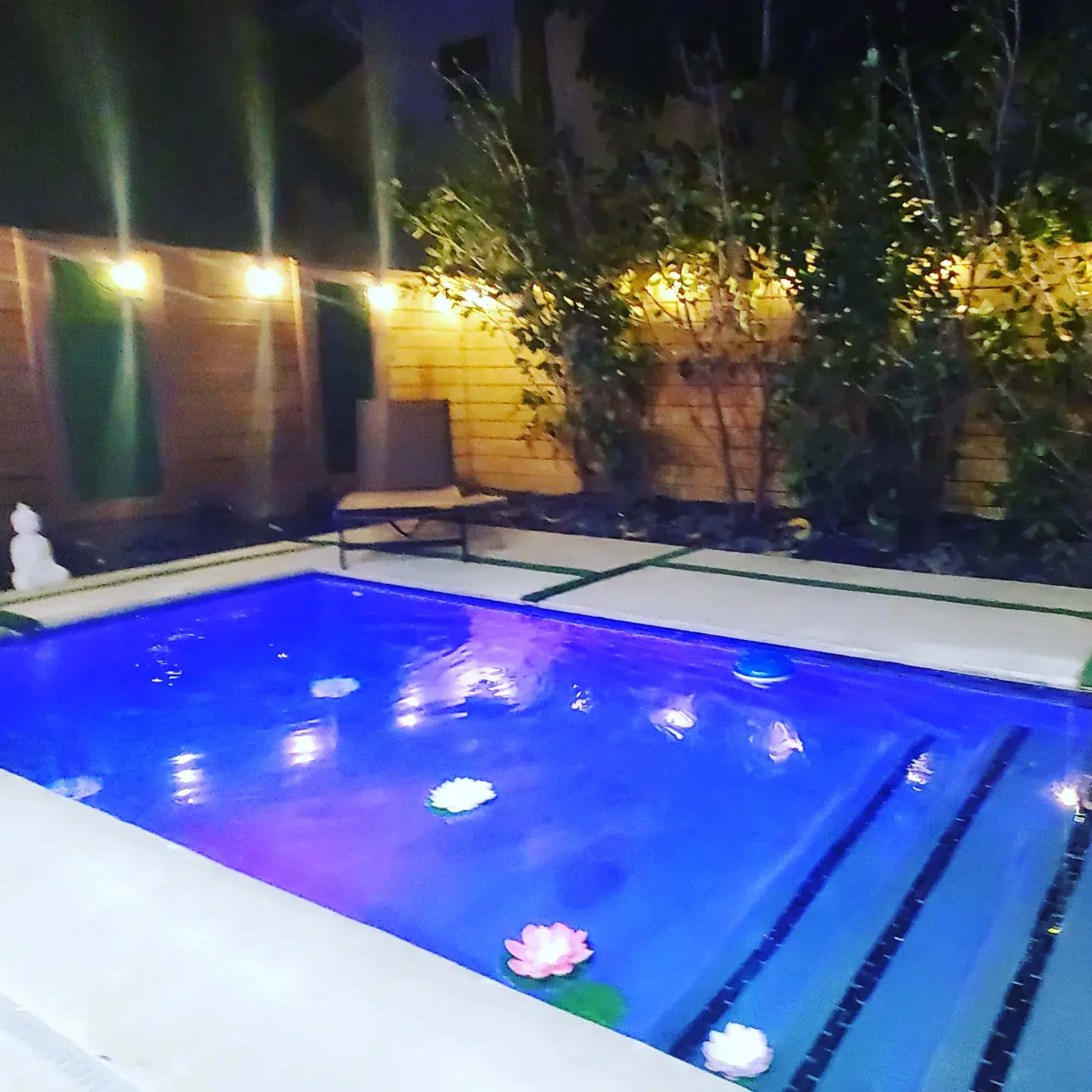 A small pool is illuminated by lights, surrounded by greenery and features floating water lilies.