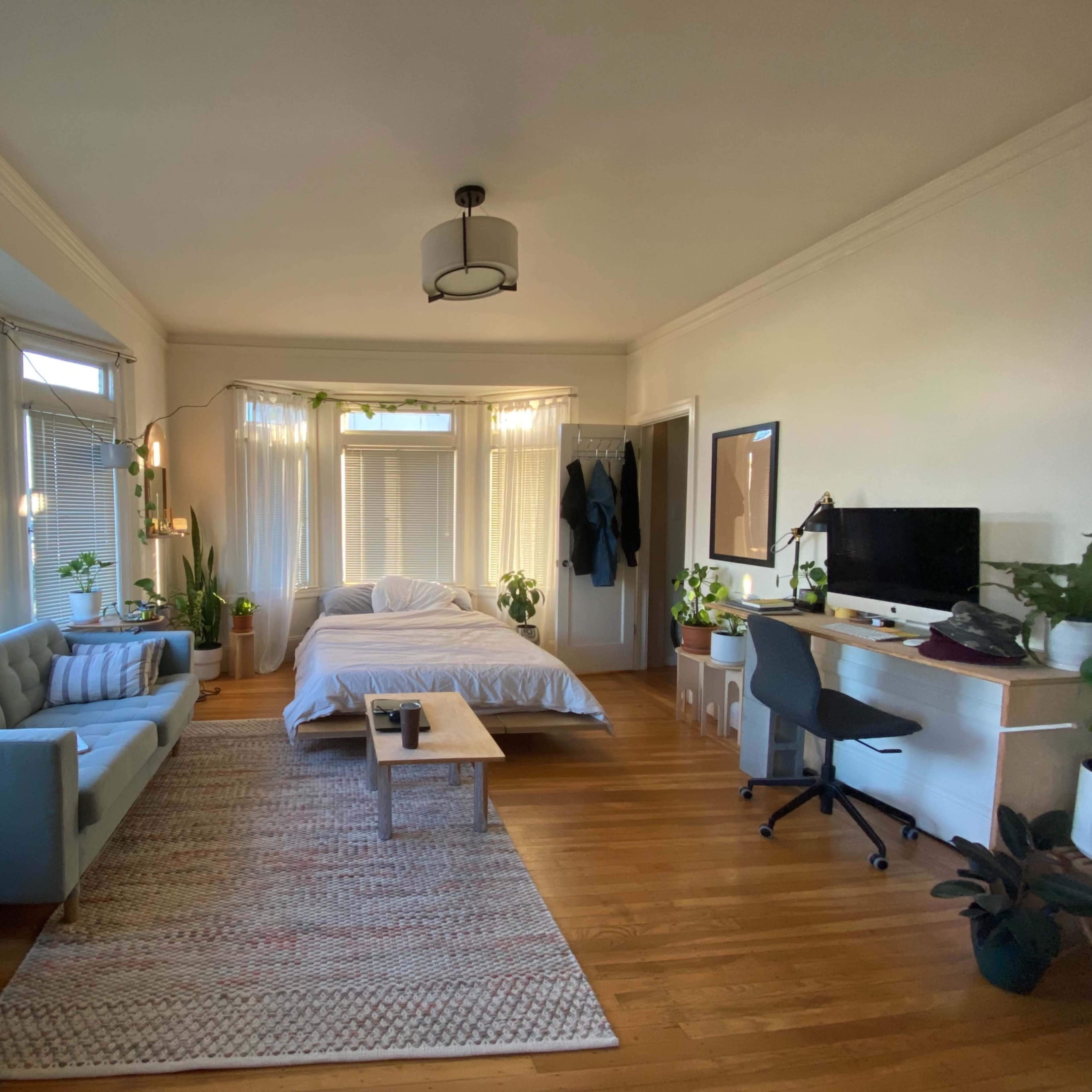 A well-lit studio apartment featuring a bed, a sofa, a desk with a computer, and several indoor plants.