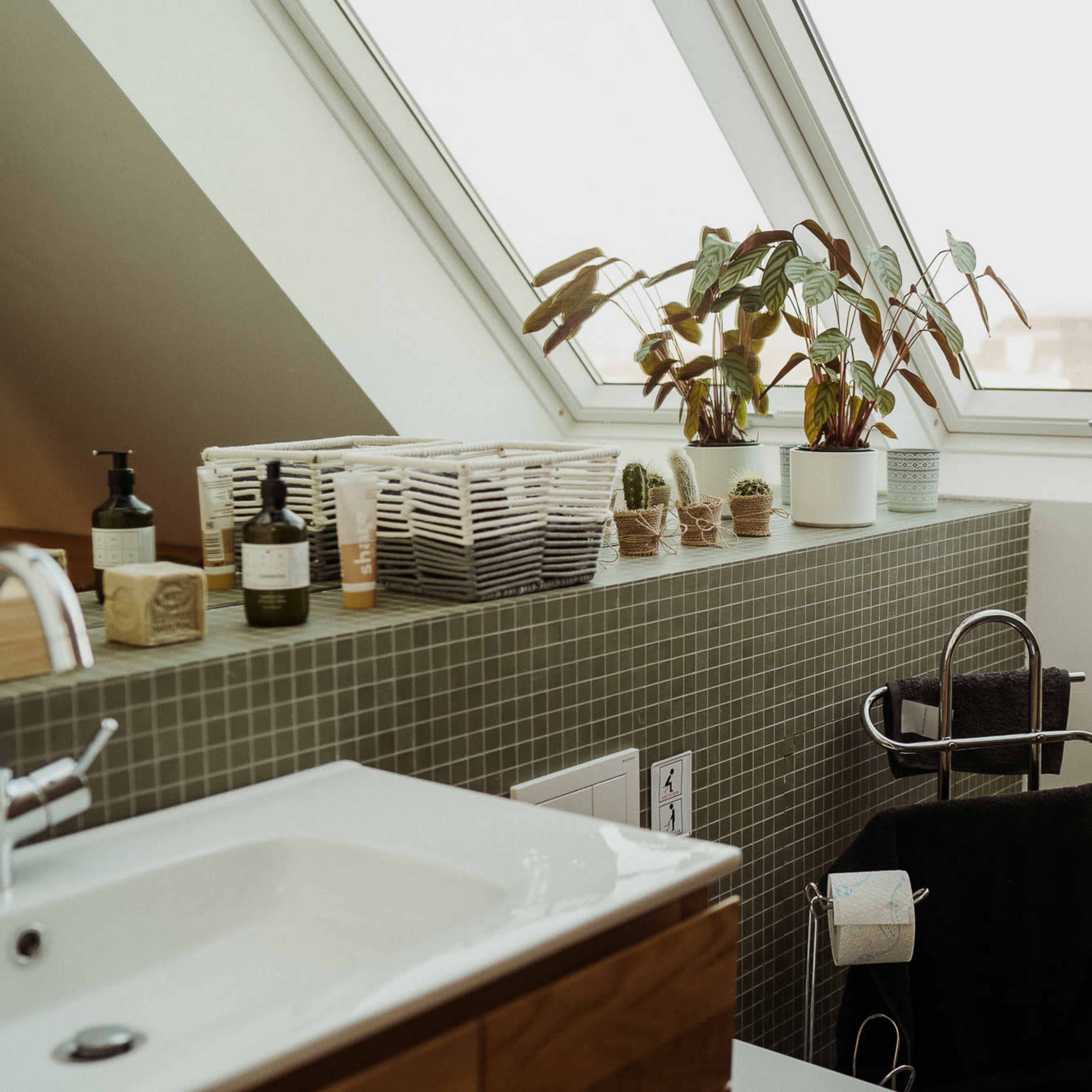 A modern bathroom features a sink, a towel rack, and plants arranged by a pair of skylights.