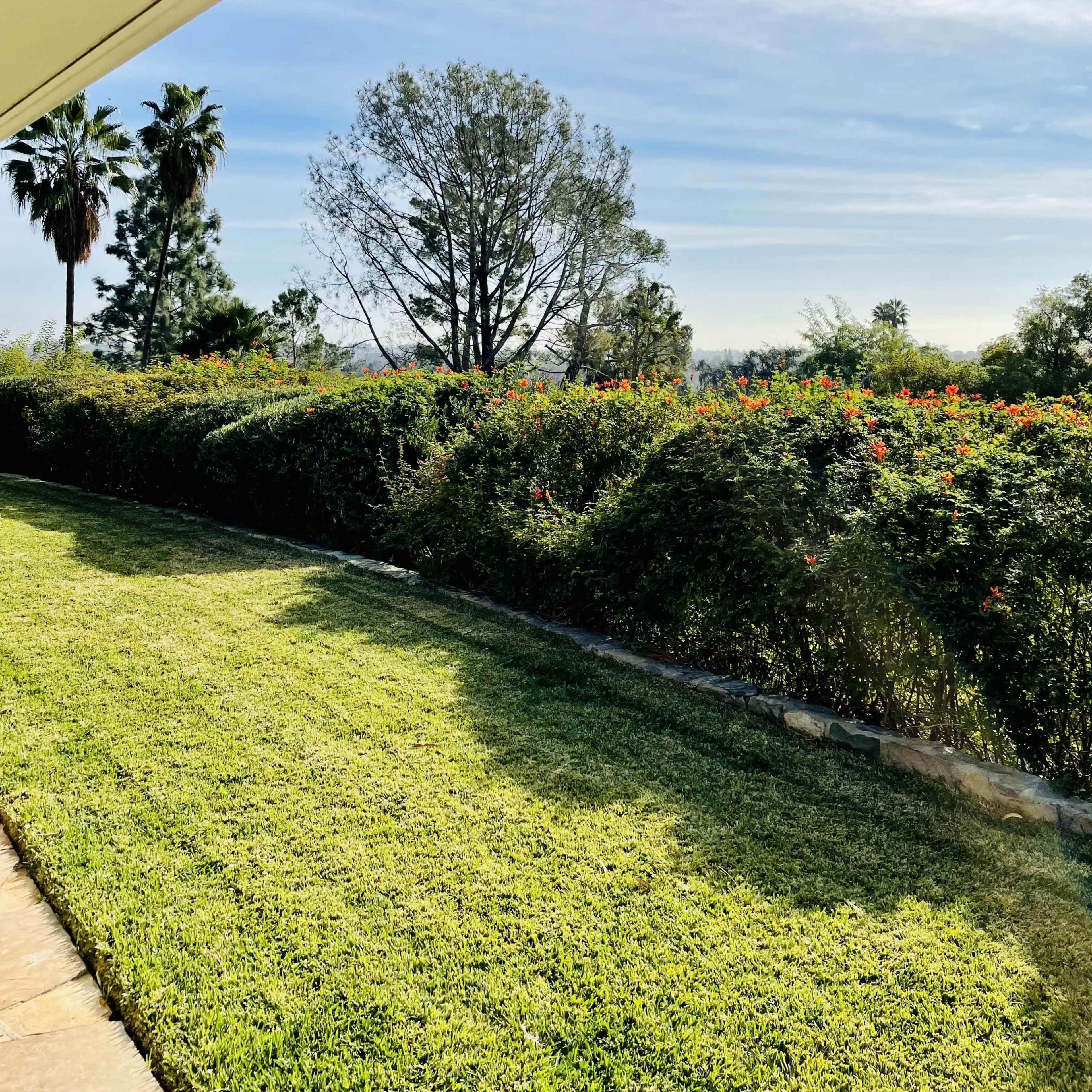 A landscaped yard features green grass and a hedge with flowering plants, set against a backdrop of palm trees and distant foliage under a blue sky.