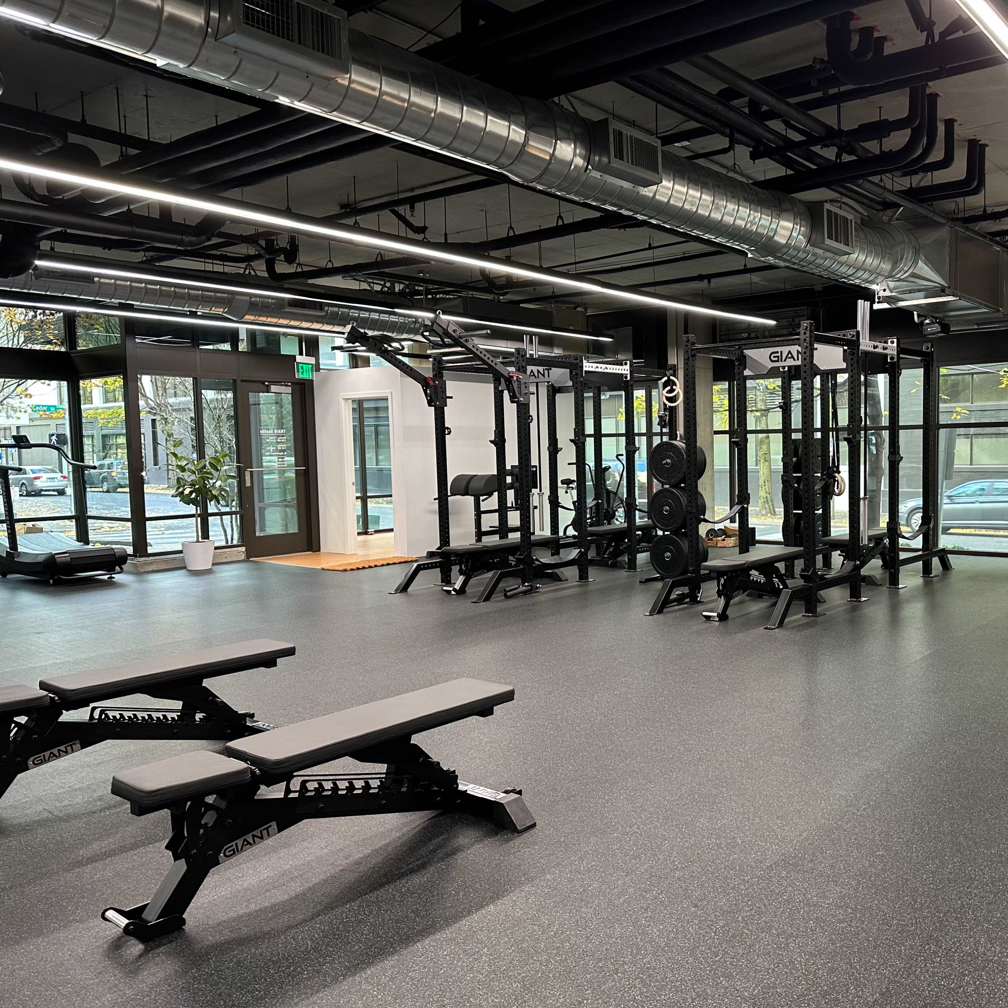 A modern gym interior with weightlifting equipment, benches, and large windows allowing natural light.