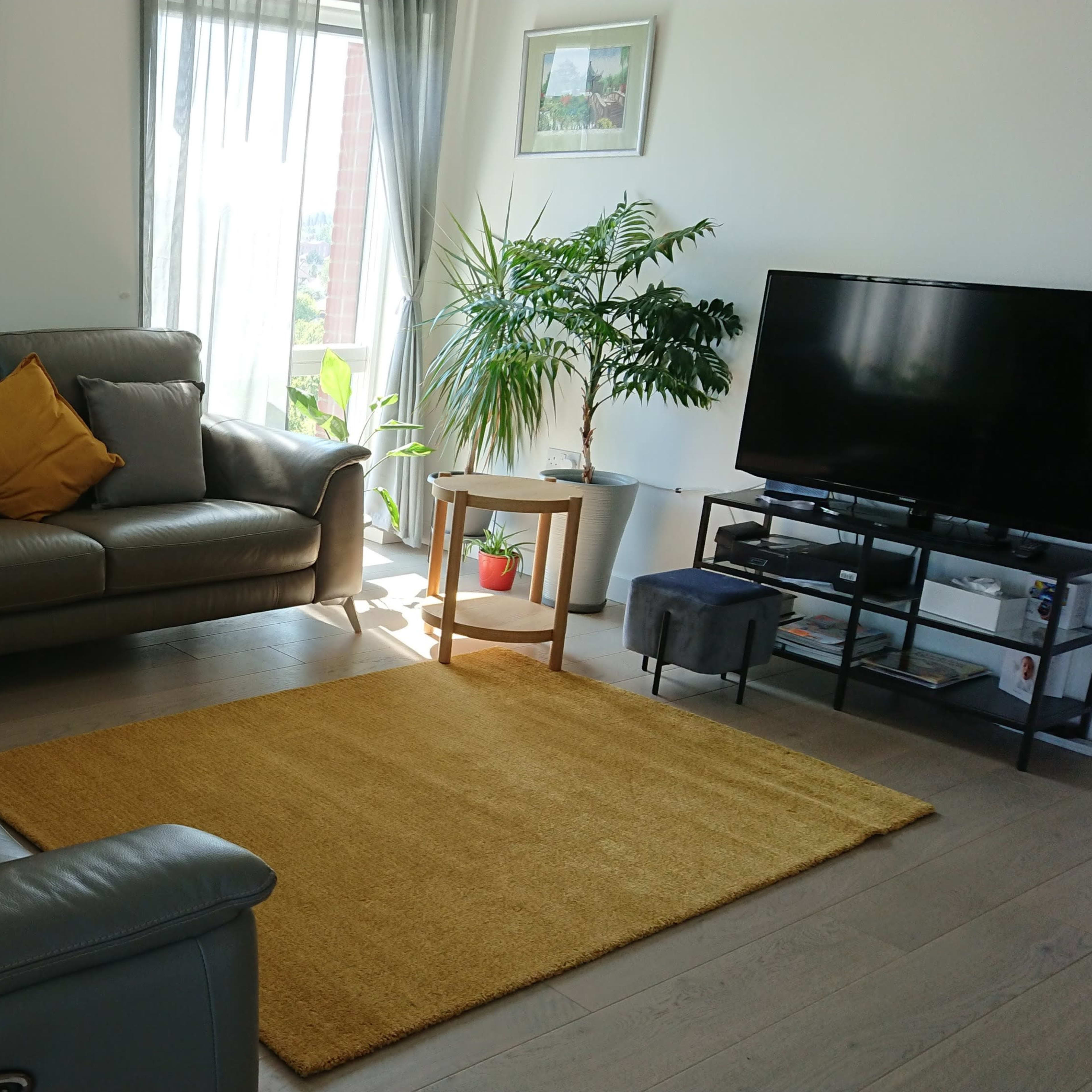 A living room with two gray leather sofas, yellow cushions, a small coffee table, a television stand, and a bright area rug on wooden flooring.