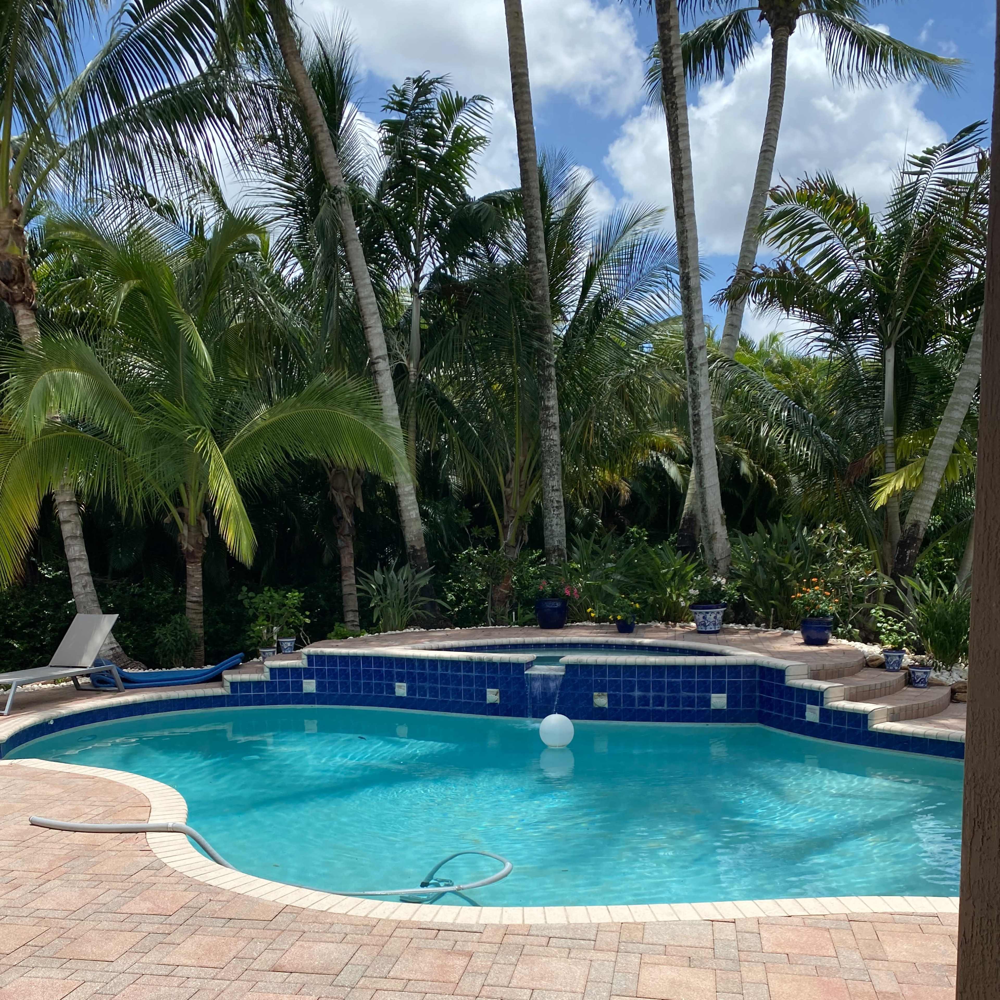 A swimming pool surrounded by palm trees and tropical plants, featuring a brick patio and blue tiles.