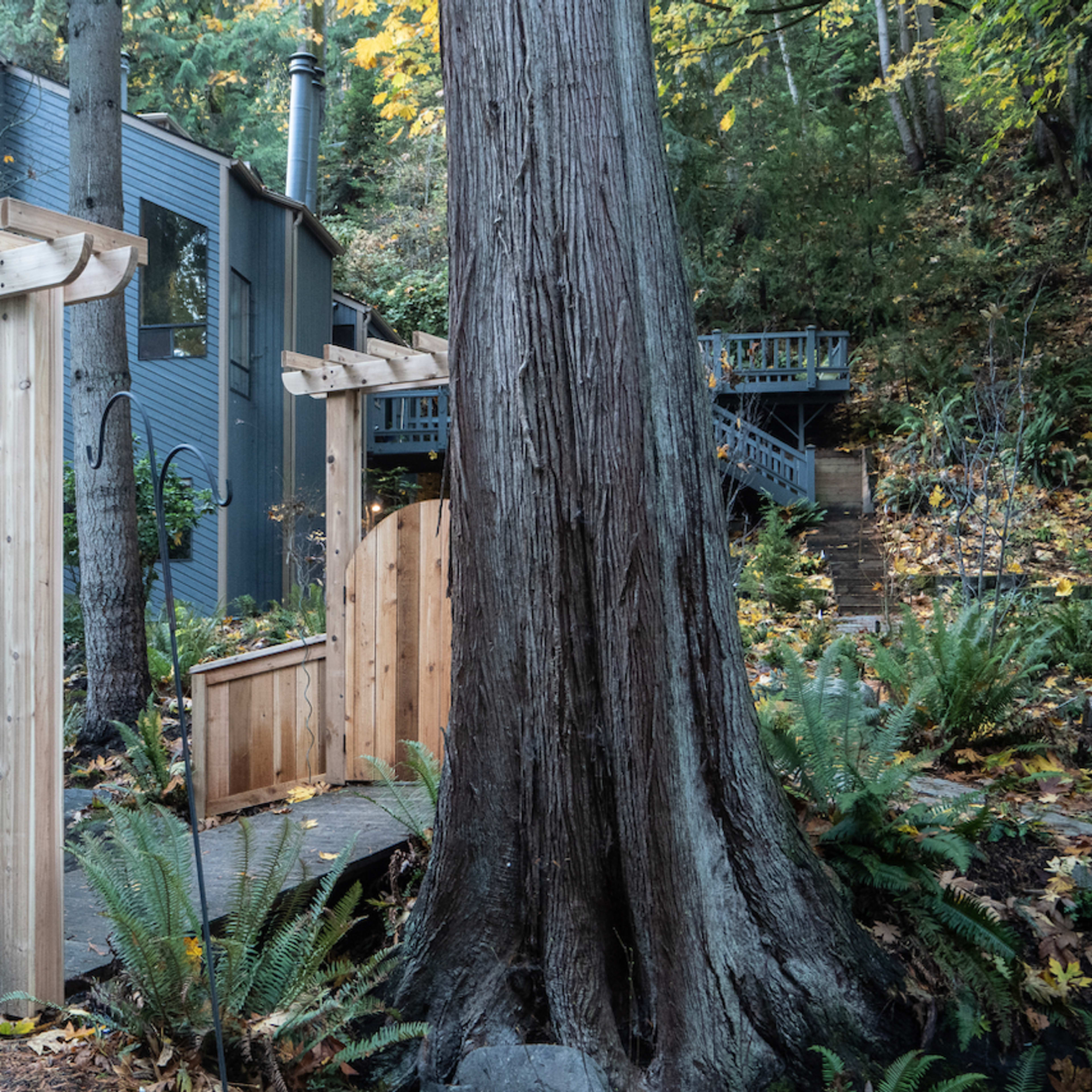 A wooden archway leads to a secluded path beside a large tree, with a modern blue house and a deck visible in the background.