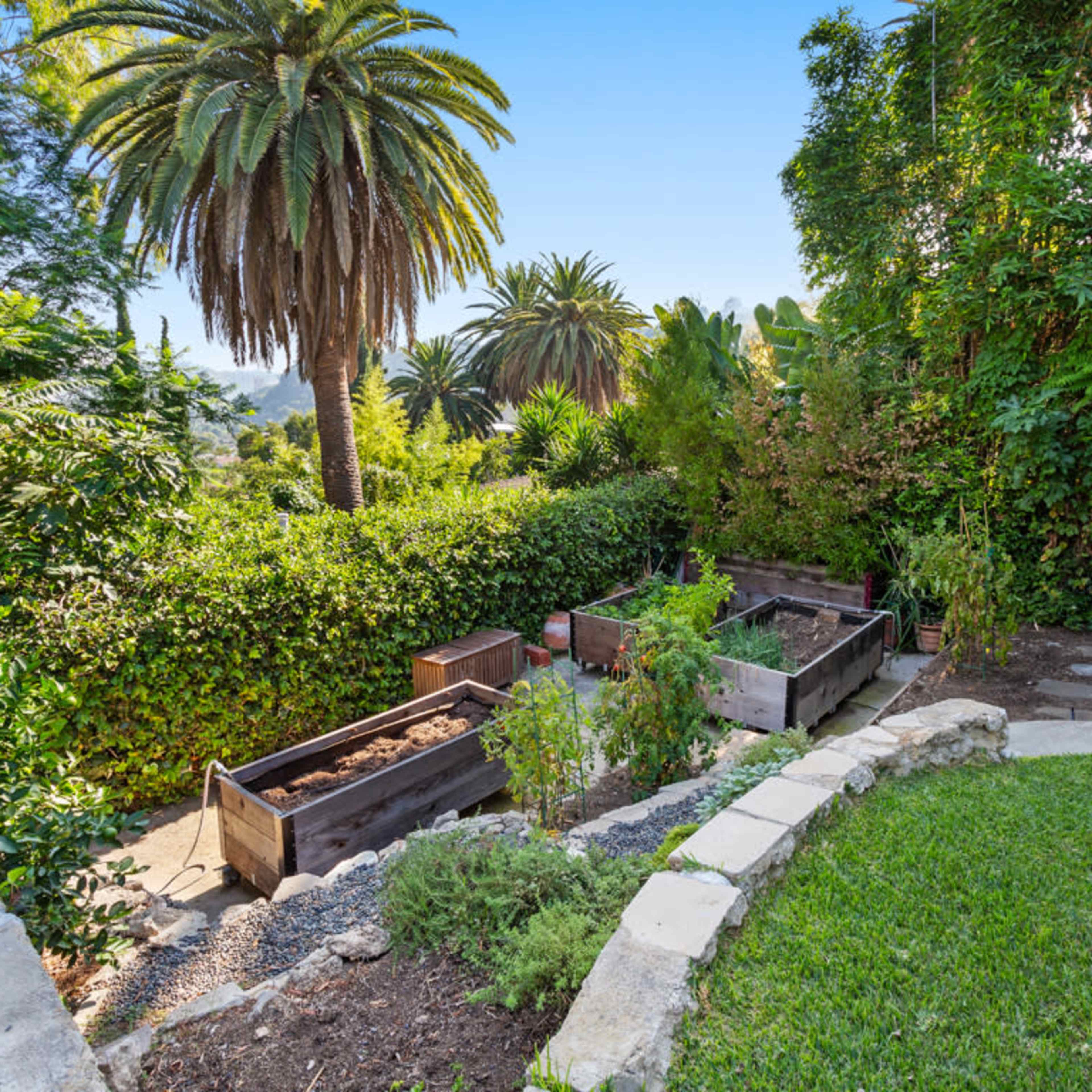 A lush garden area with raised planting beds surrounded by palm trees and greenery.