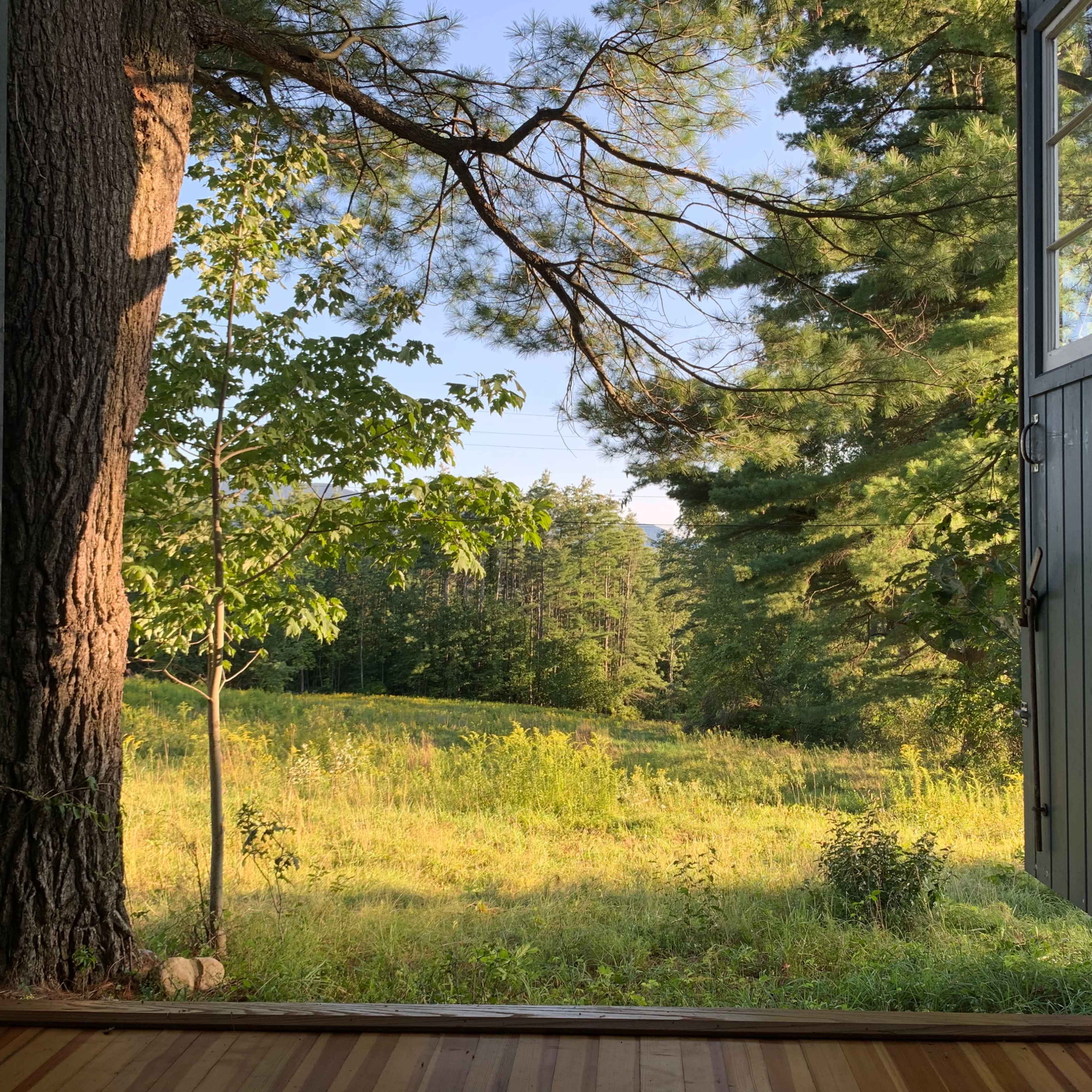 An open door leading to a grassy field framed by trees.